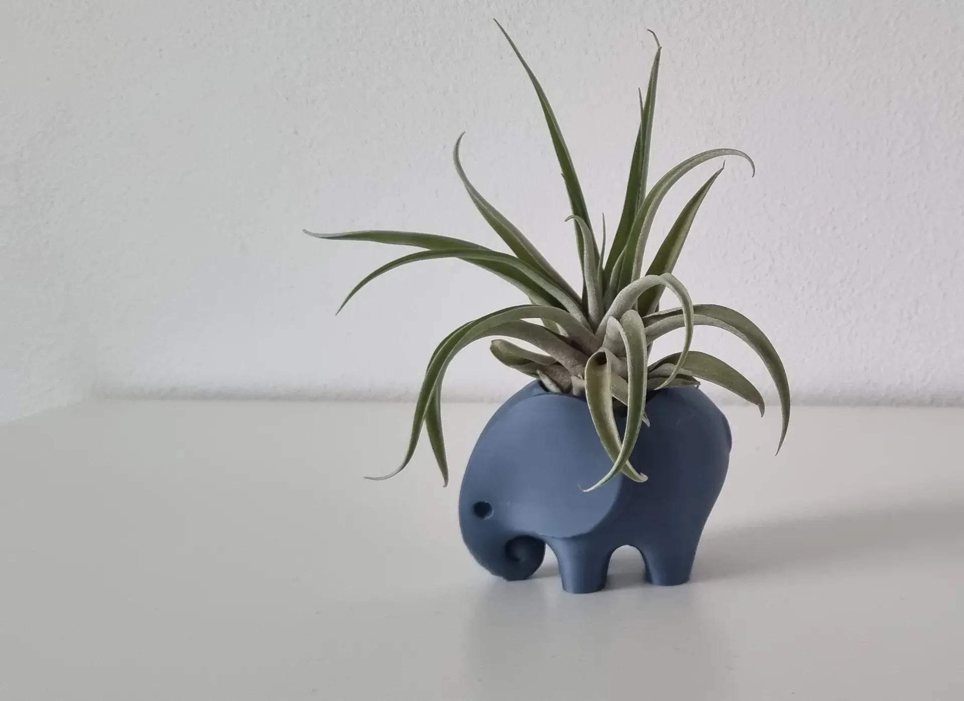 Elephant Planter, Plant Pot, Vase or Pencil holder 3d model