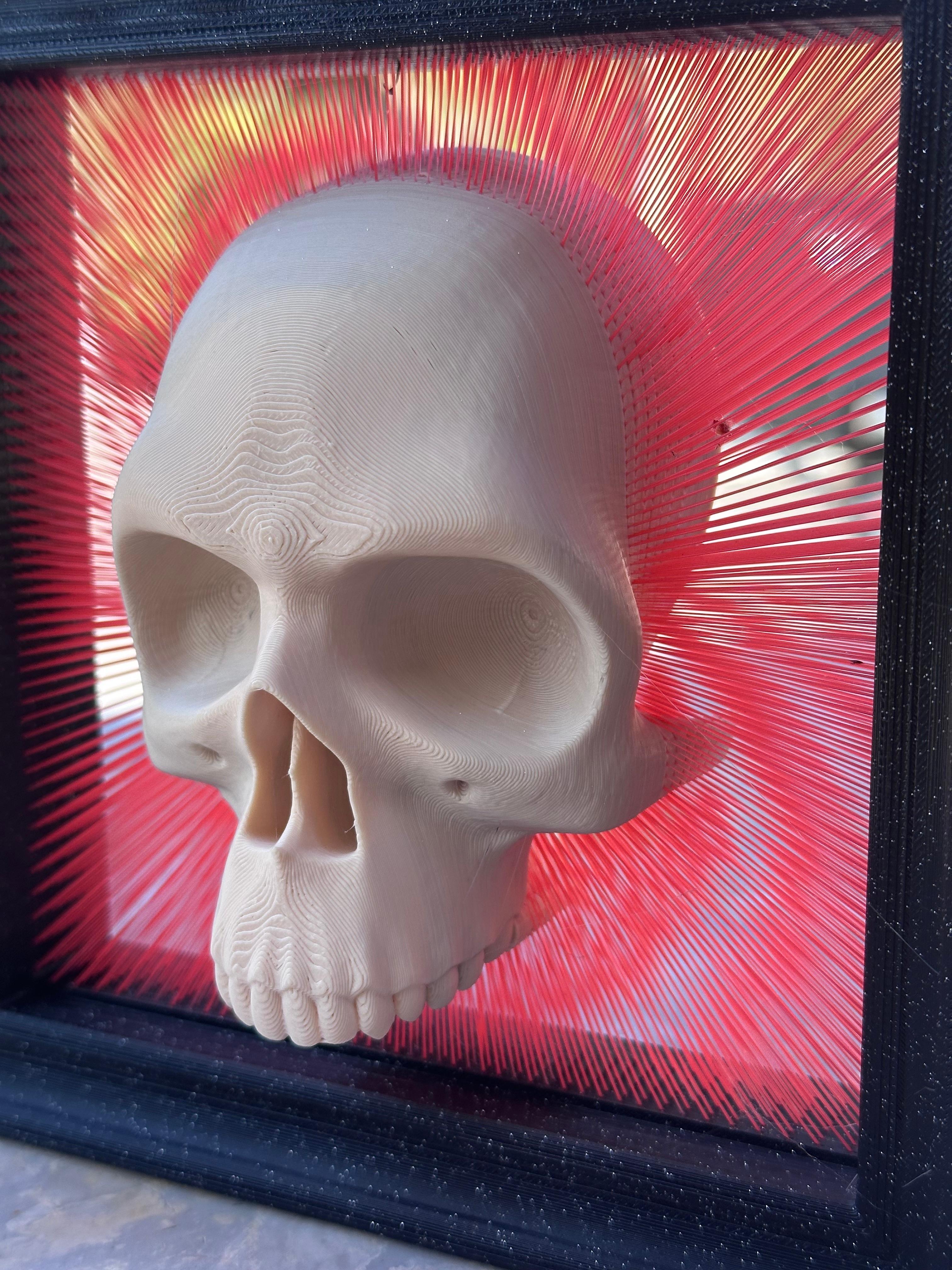 Framed Skull Tensegrity Skull Box - V2 with wall hanging, and frame 3d model