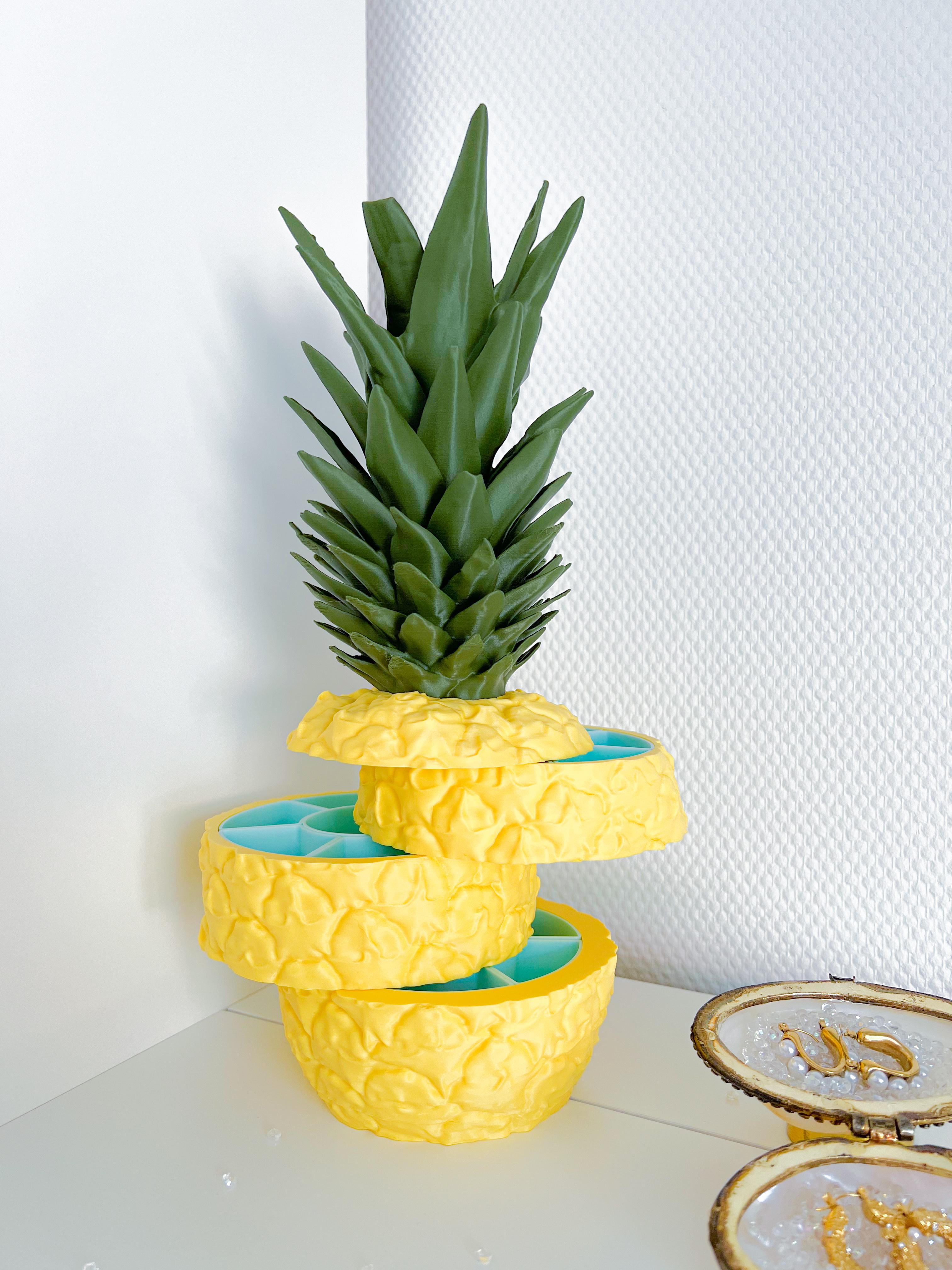 Sliced Ananas 3d model