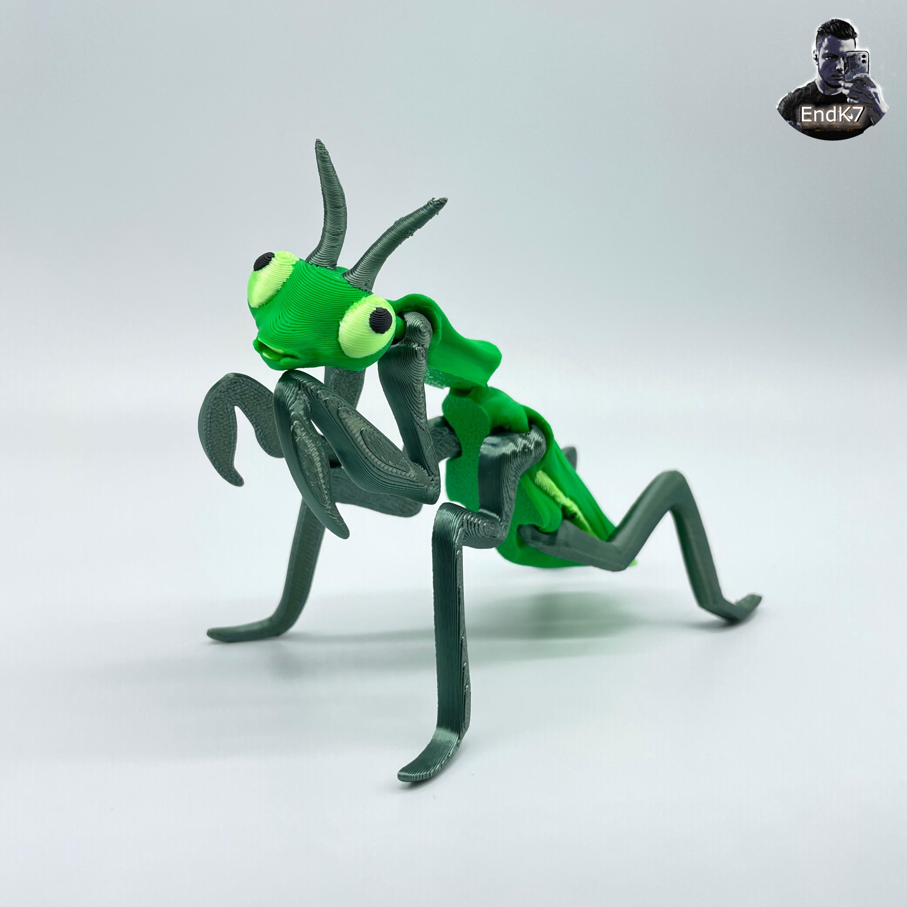 Articulated Mantis - Print in Place - Flexible - No Supports 3d model