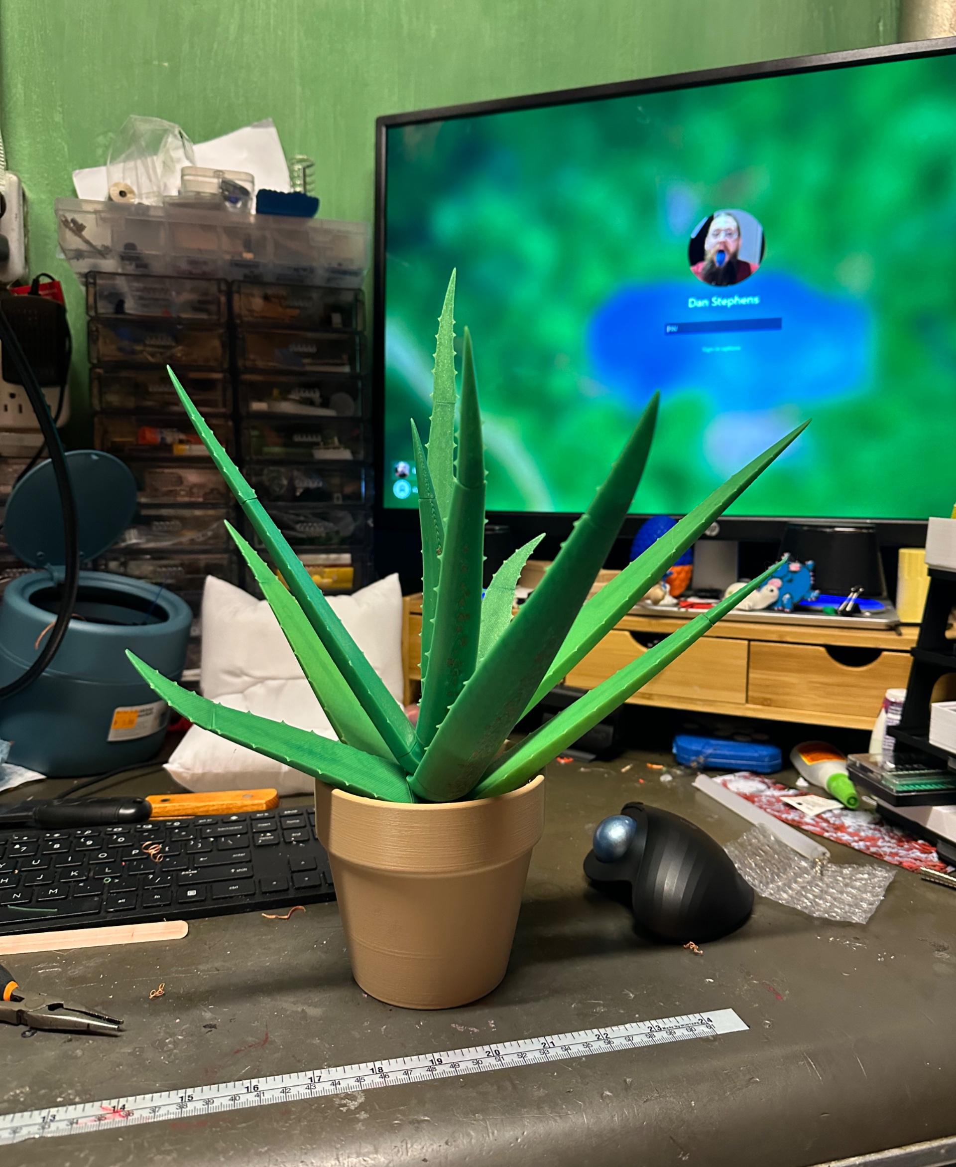 Aloe Vera Pen Plant 3d model