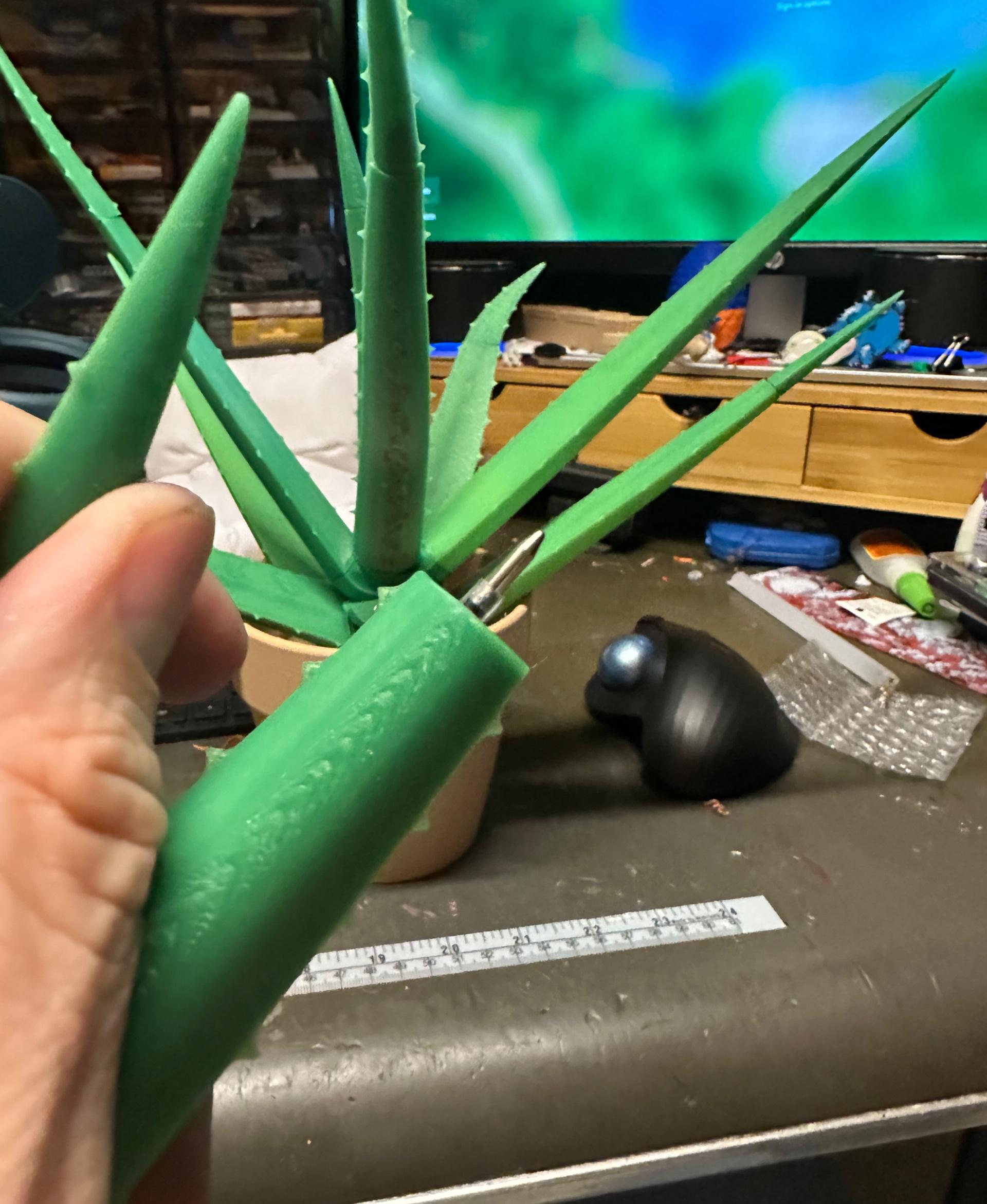 Aloe Vera Pen Plant 3d model