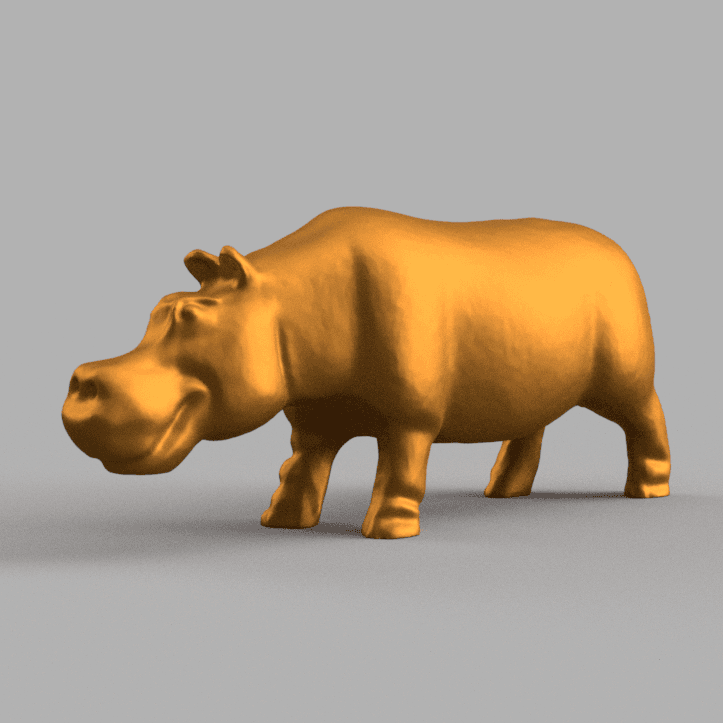 Hipo 3d model