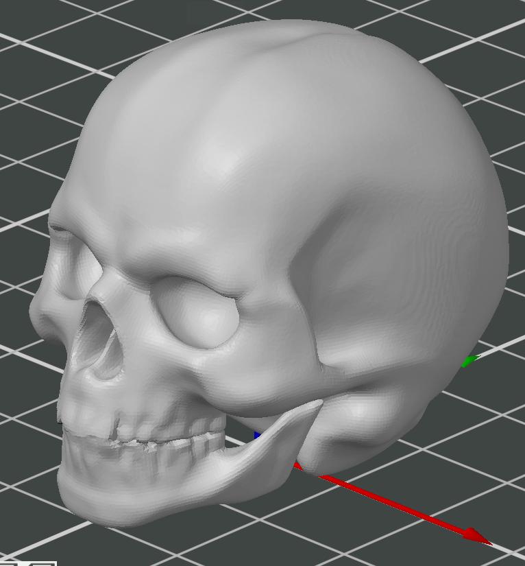 Skull by CandidQuality 3d model