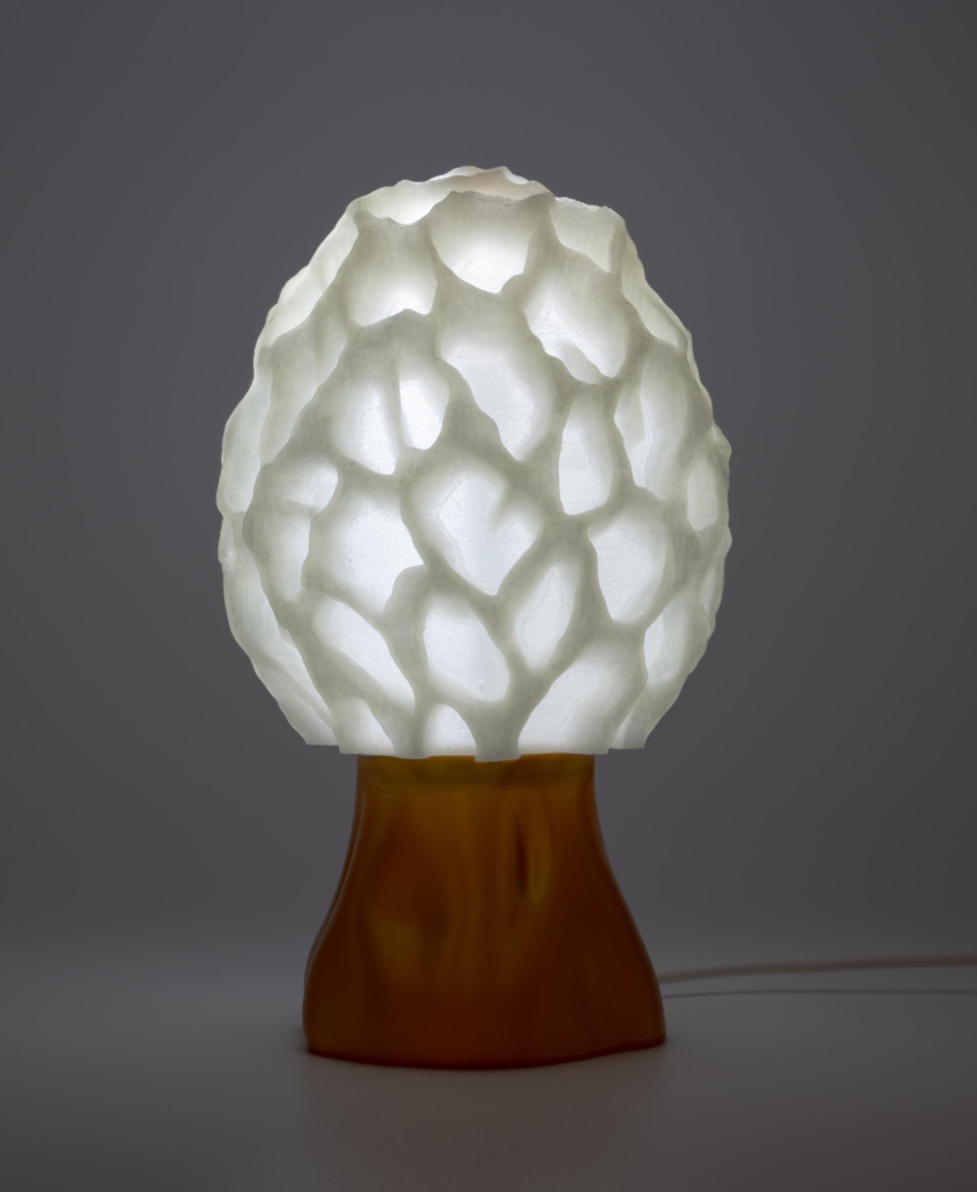 Mushroom lamp “Morchella Esculenta” 3d model