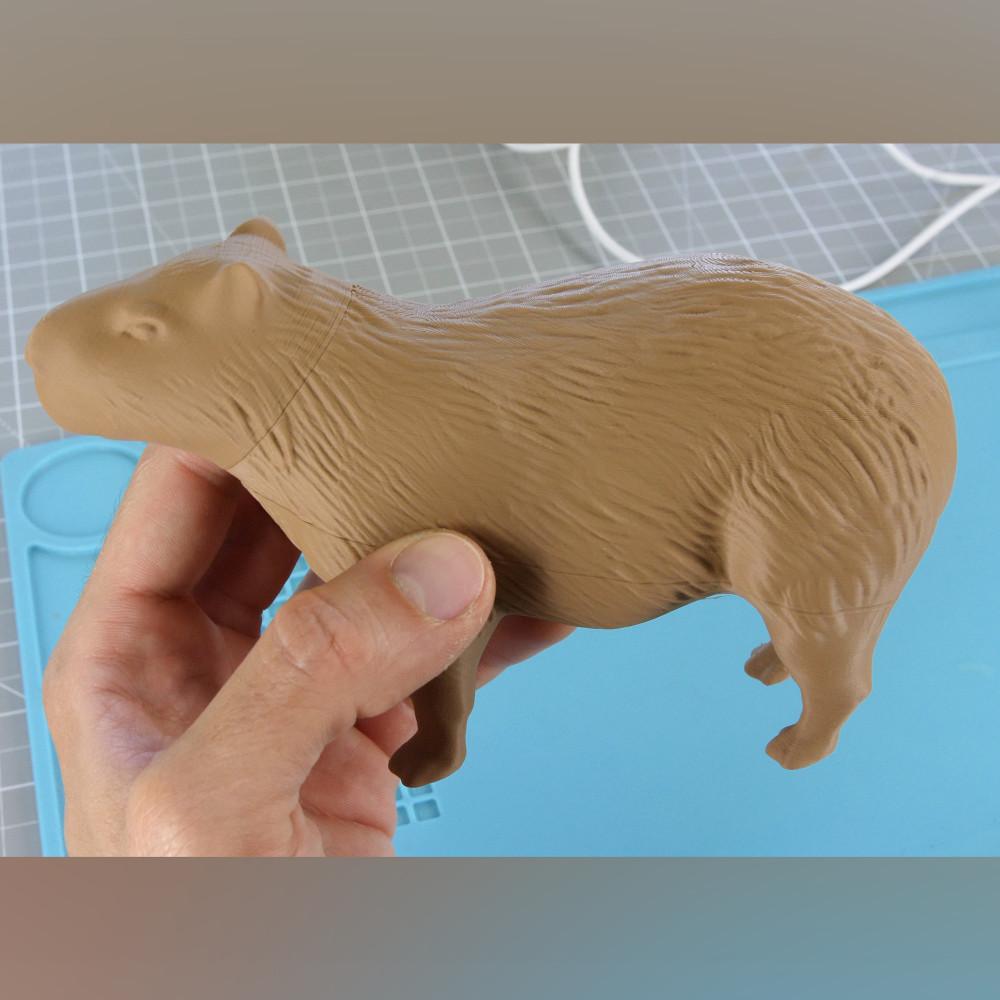 Split Capybara 3d model