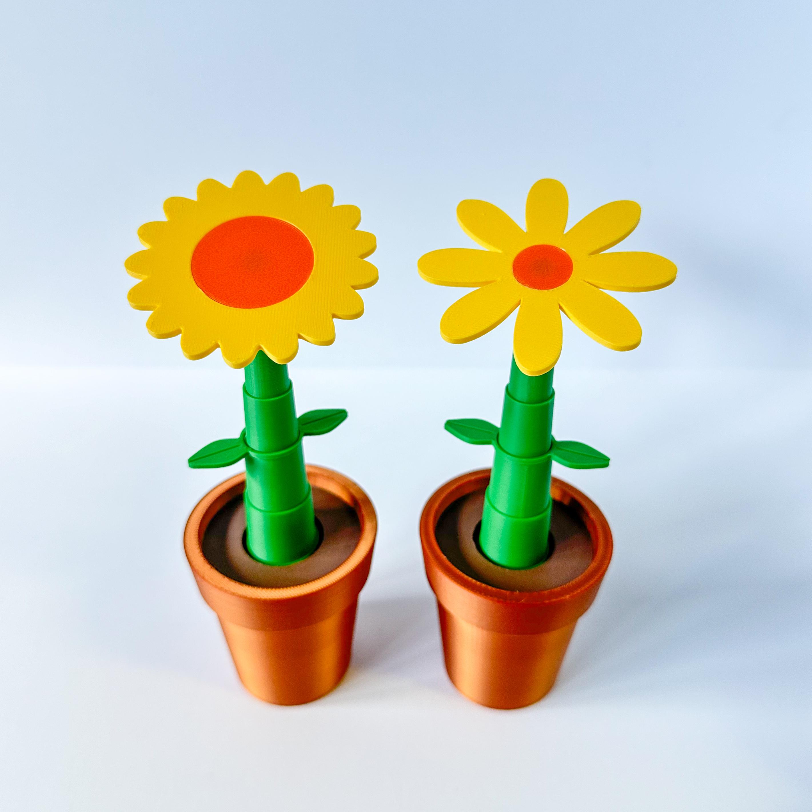 Potted Flowers and Watering Can 3d model