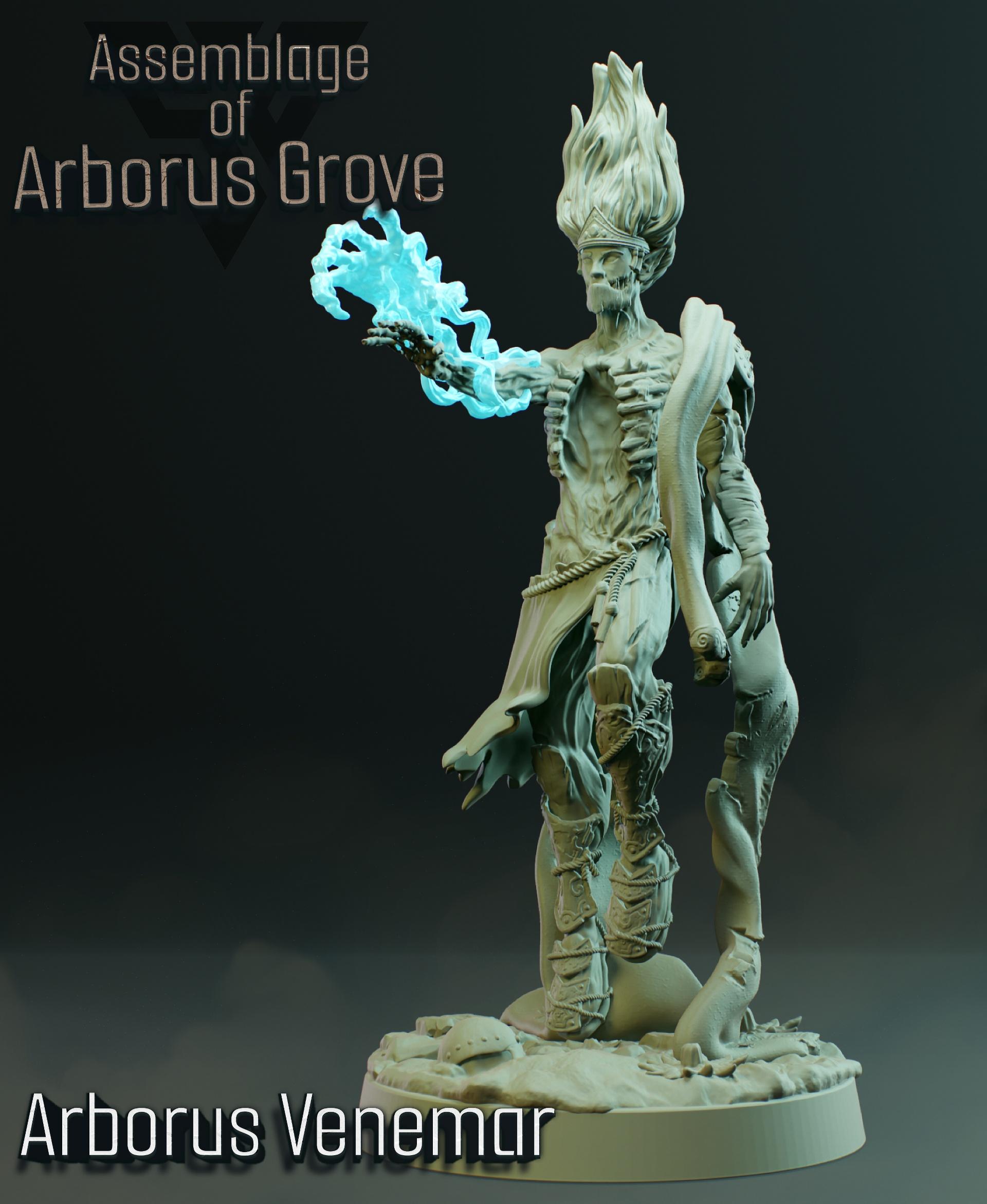 Arborus Venemar, Elven Lich lord 3d model