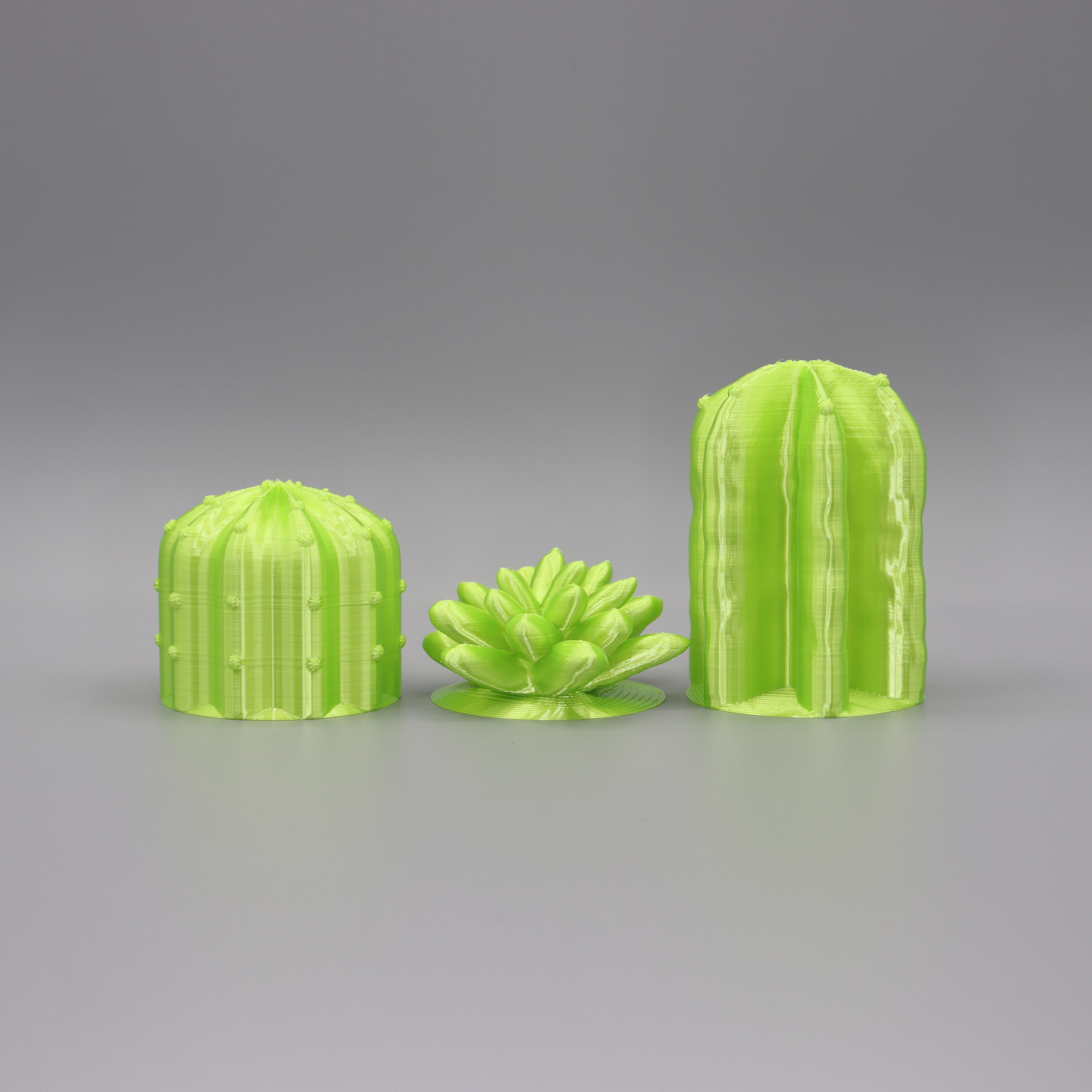 Cacti Decor 3d model