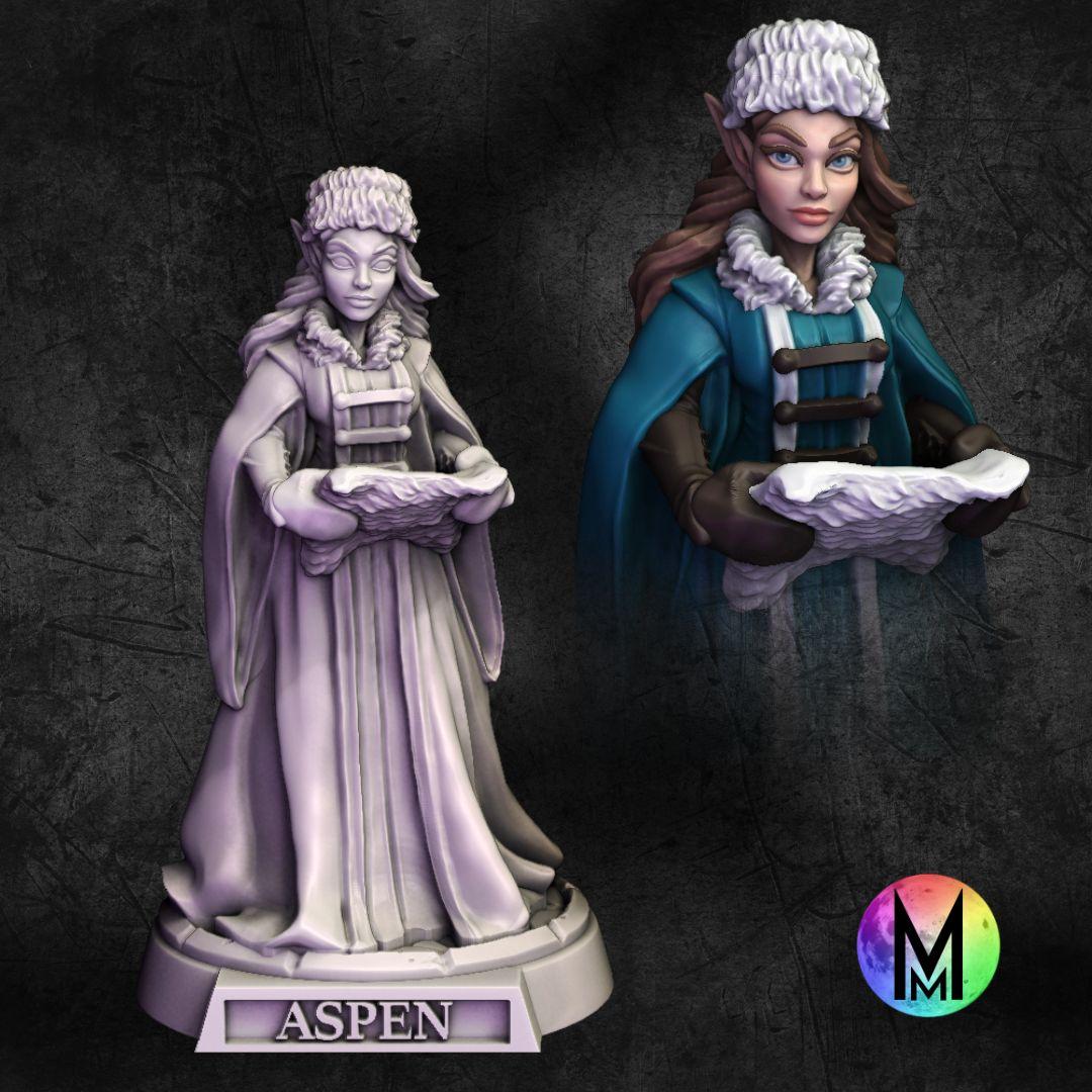 Female Elf Wizard - Aspen the Female Wizard ( Female frost elf wizard with scroll) 3d model