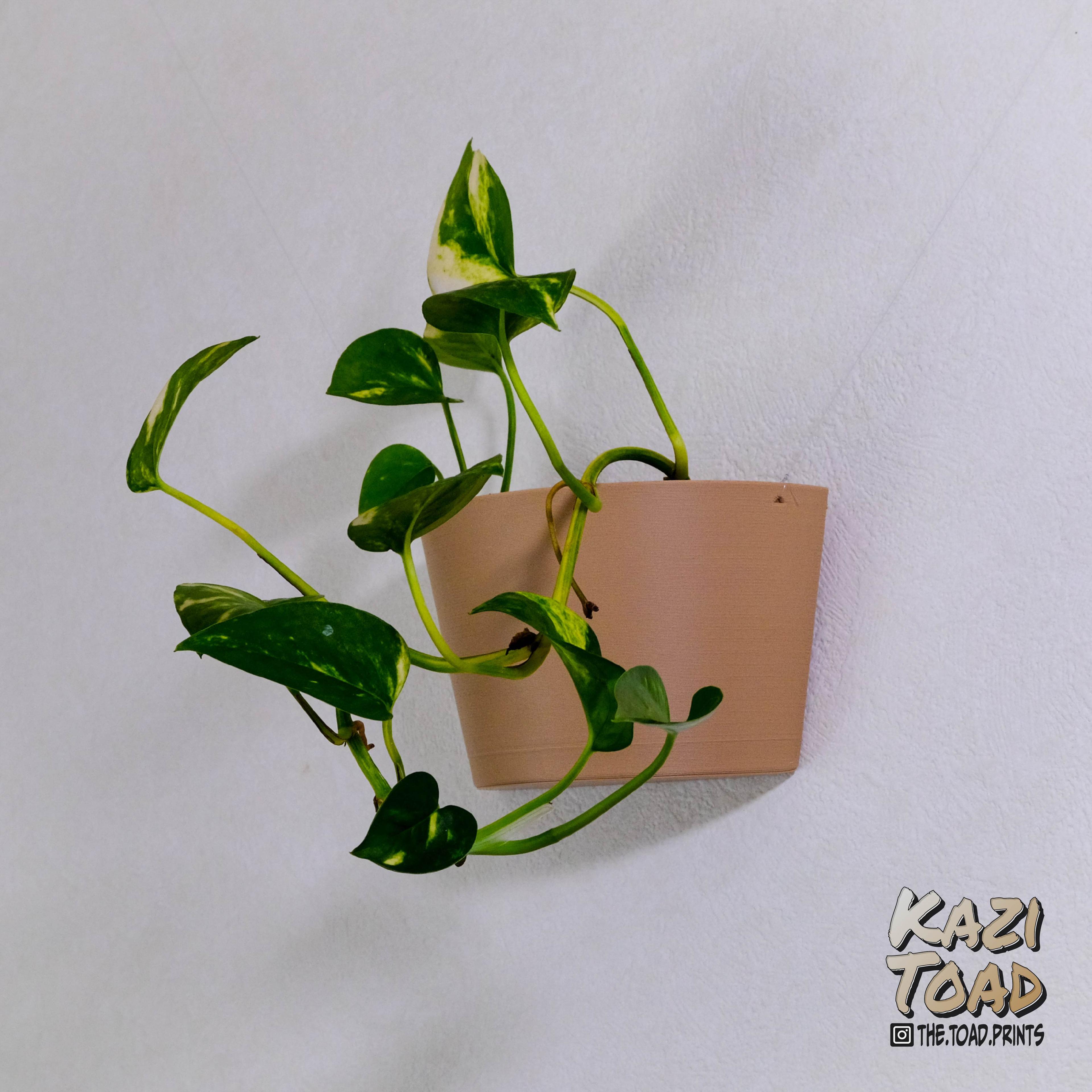 Wall hanging planter 3d model