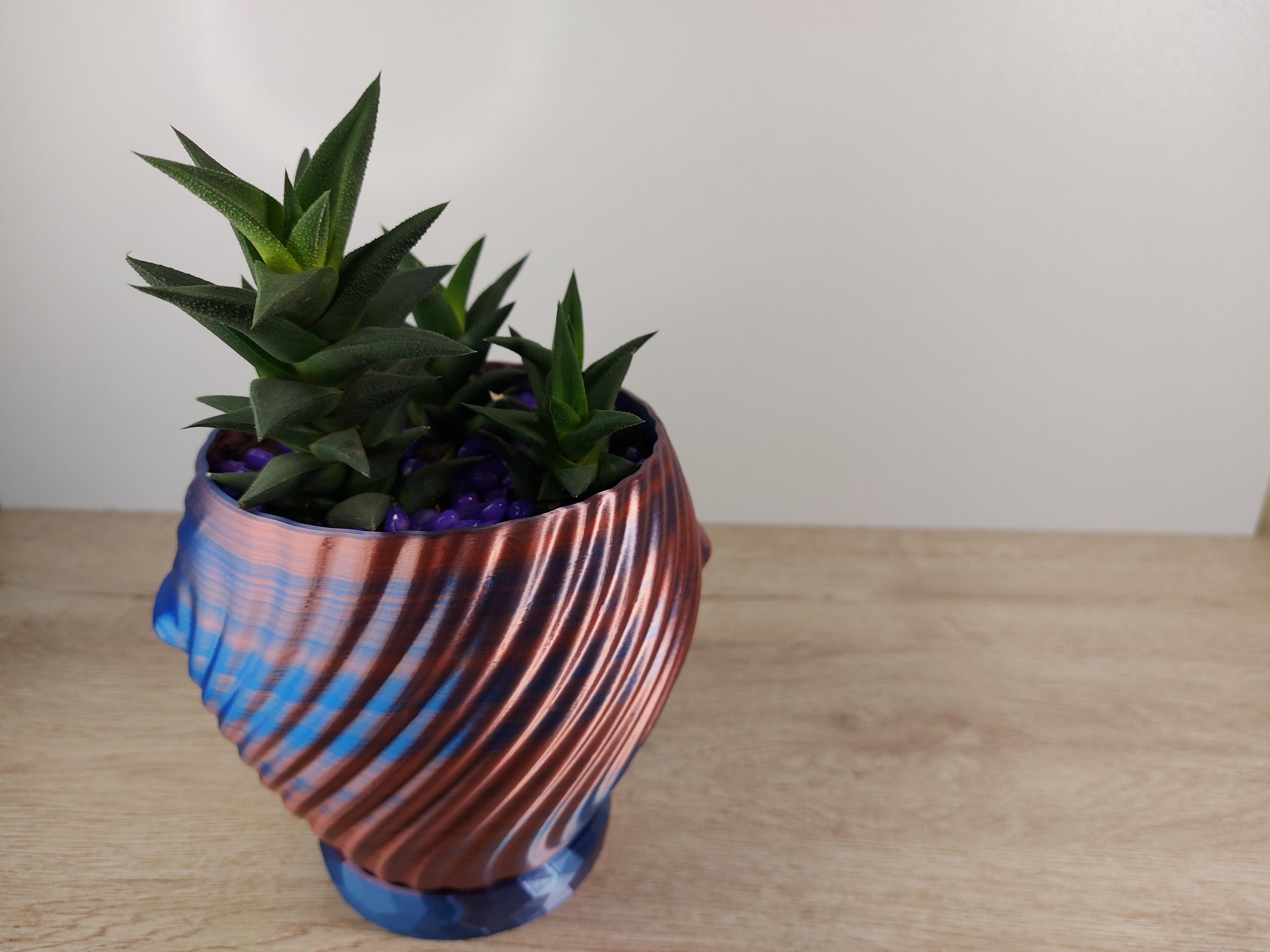 Abstract Pot 3d model