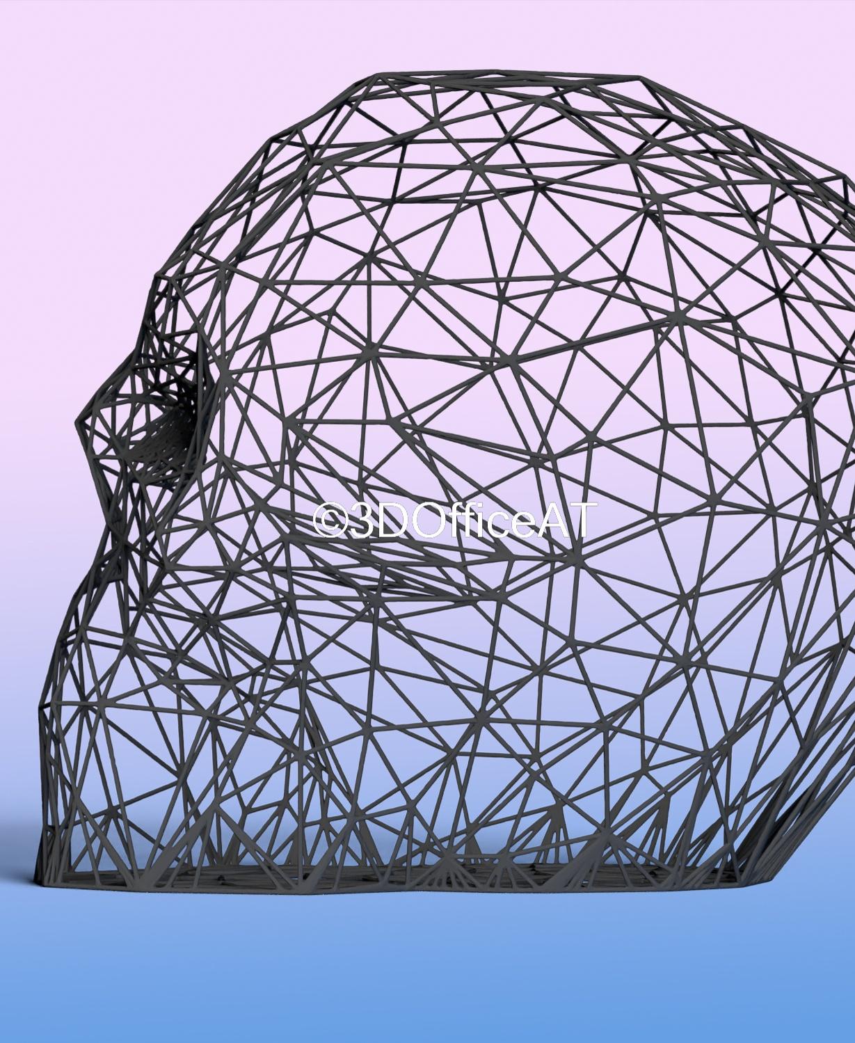 Skull Head Wire Art 3d model