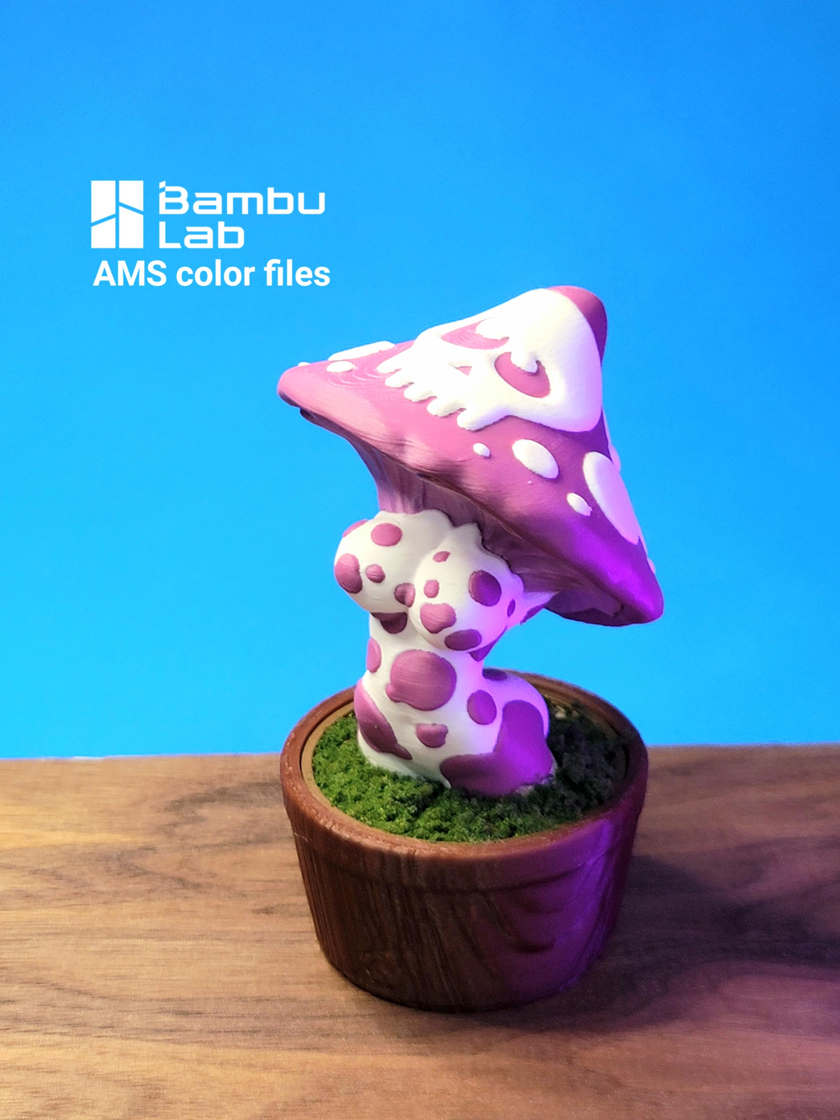 Skull Mushroom storage.stl 3d model