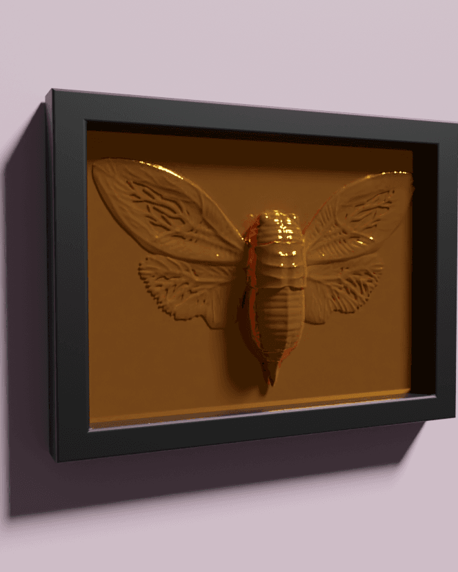 Cicada Frameable Wall ART 3d model