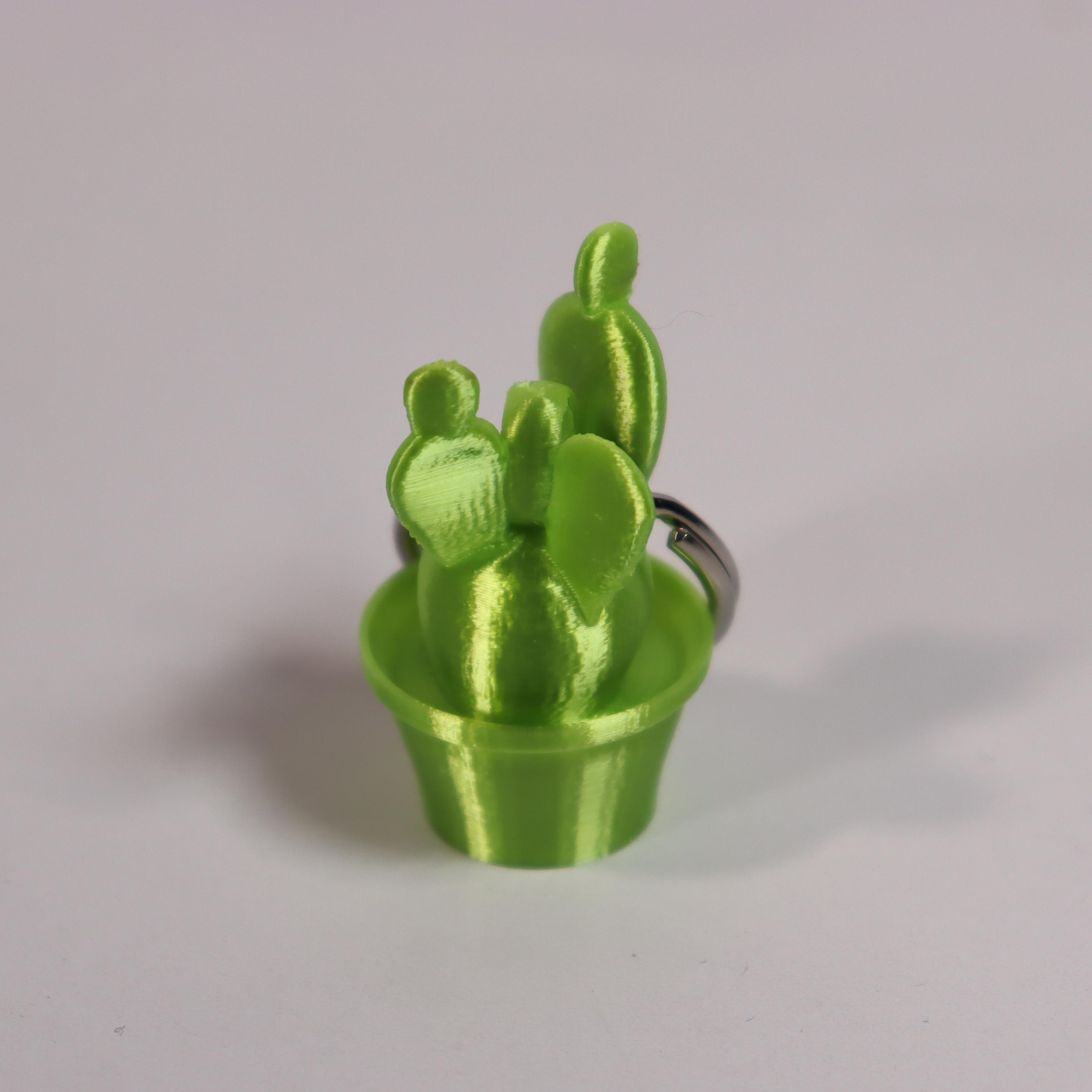 Cactus bunny ears keyring 3d model