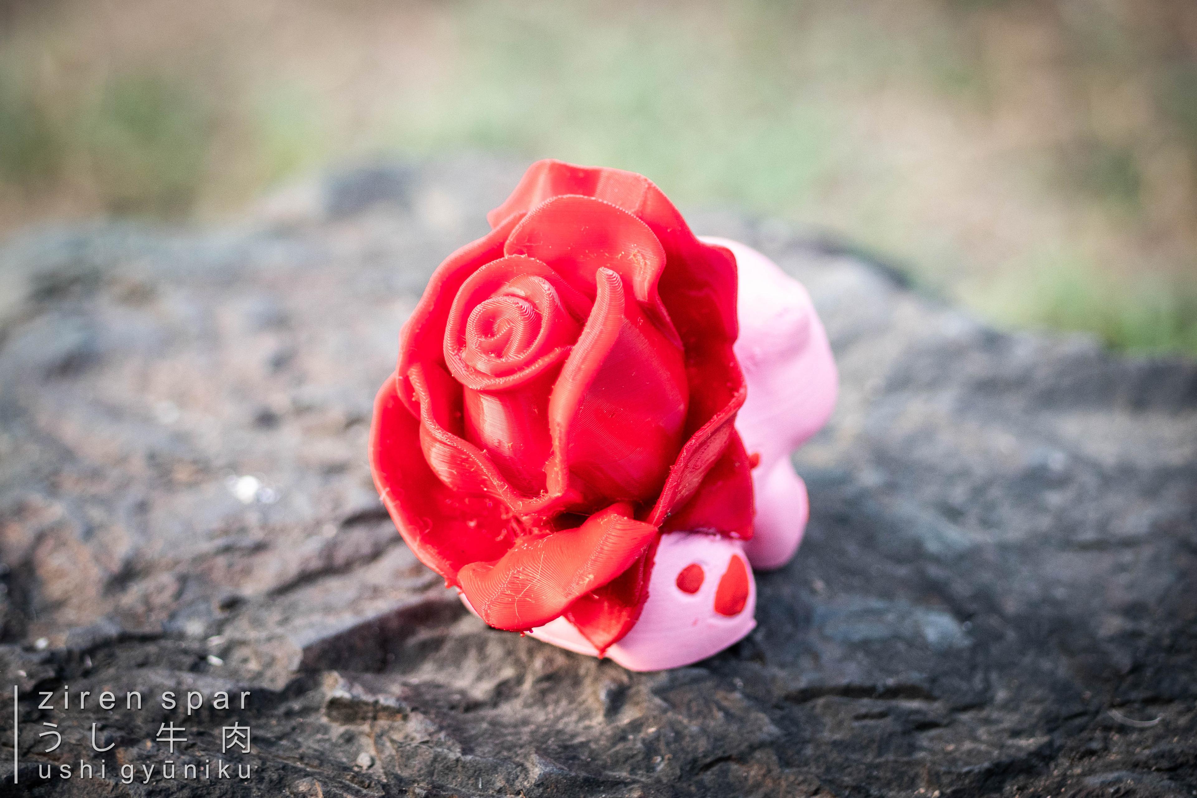 Rose Bulbasaur - rose bulbasaur. happy 💖 day!
📸 gears: niichan 
🧩 assist: touchan & kāchan
🧵 esun
🖨️ creality ender 3 pro w/ capricorn tube
#filamentFebruary - 3d model