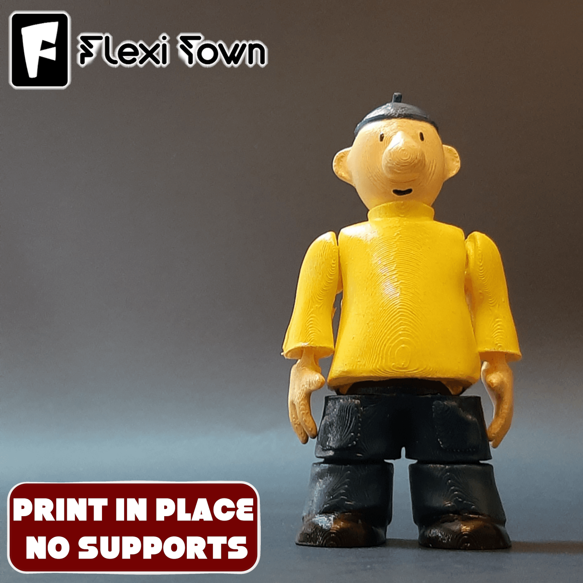 Flexi Print-in-Place Pat 3d model