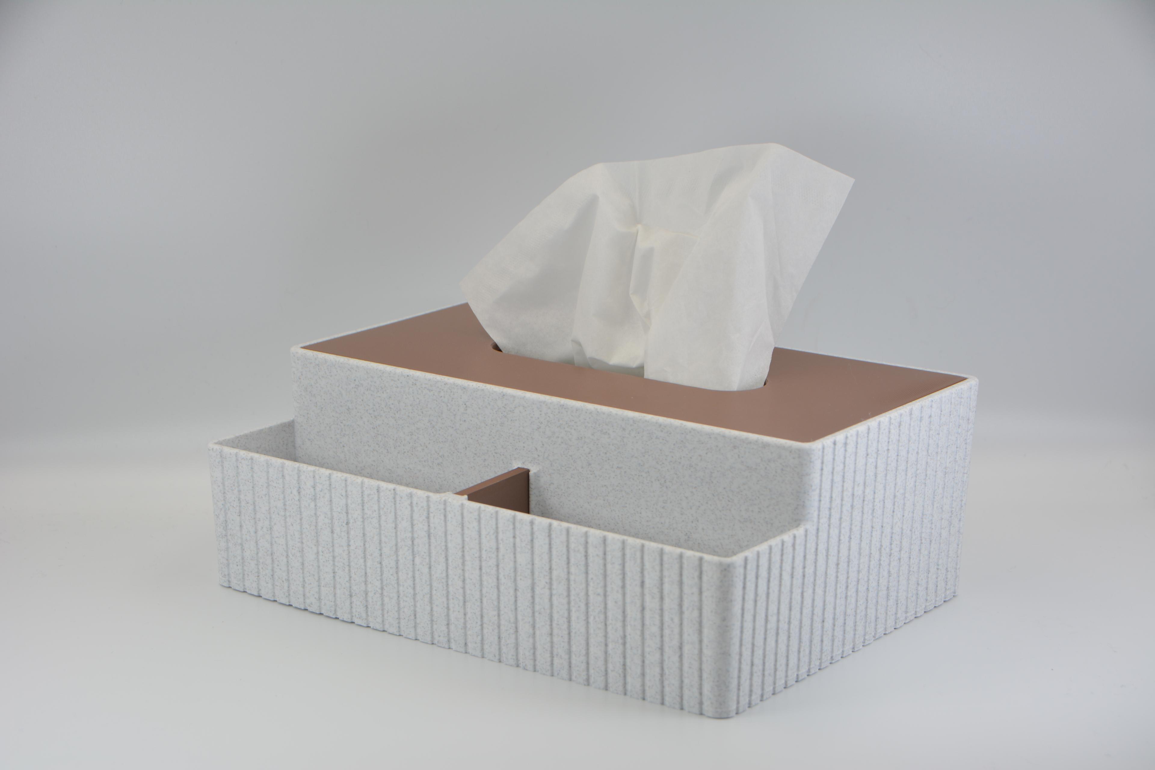 Tissue Box Organizer Striped 3d model