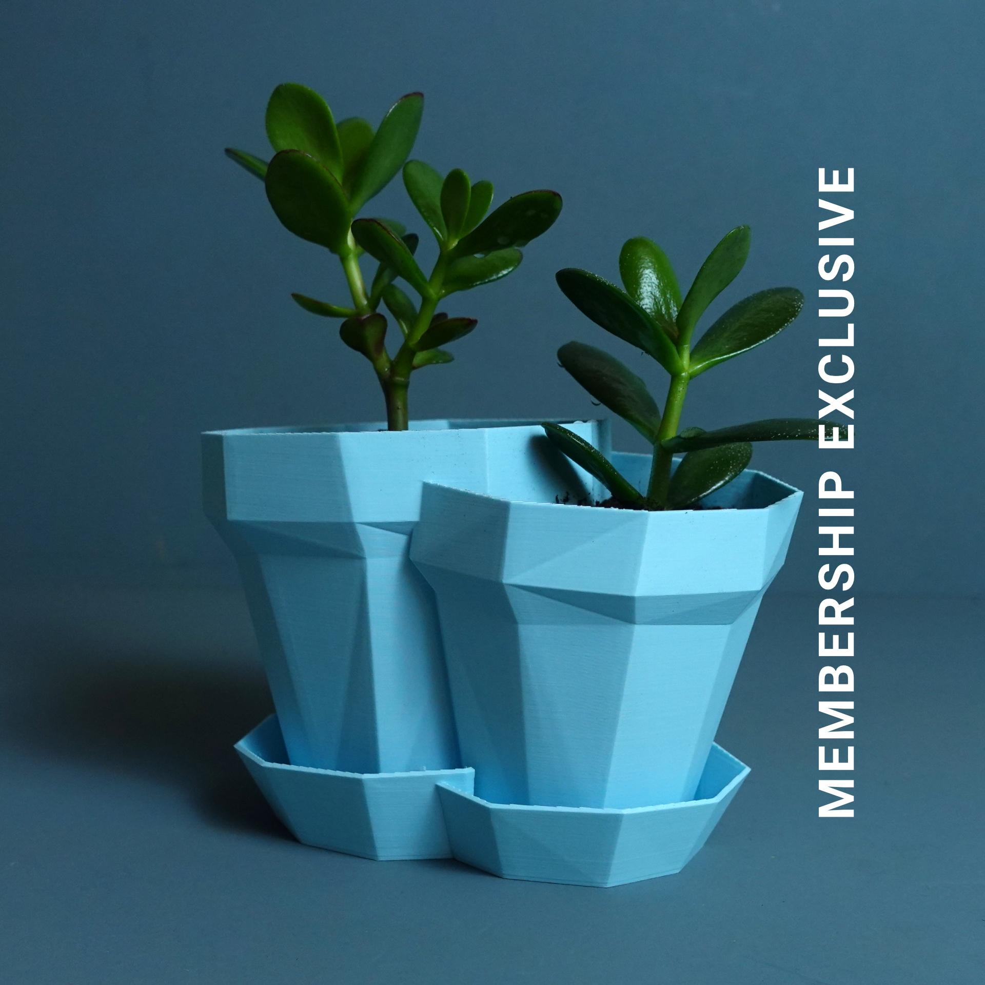 Planter “Double Glitch” 3d model