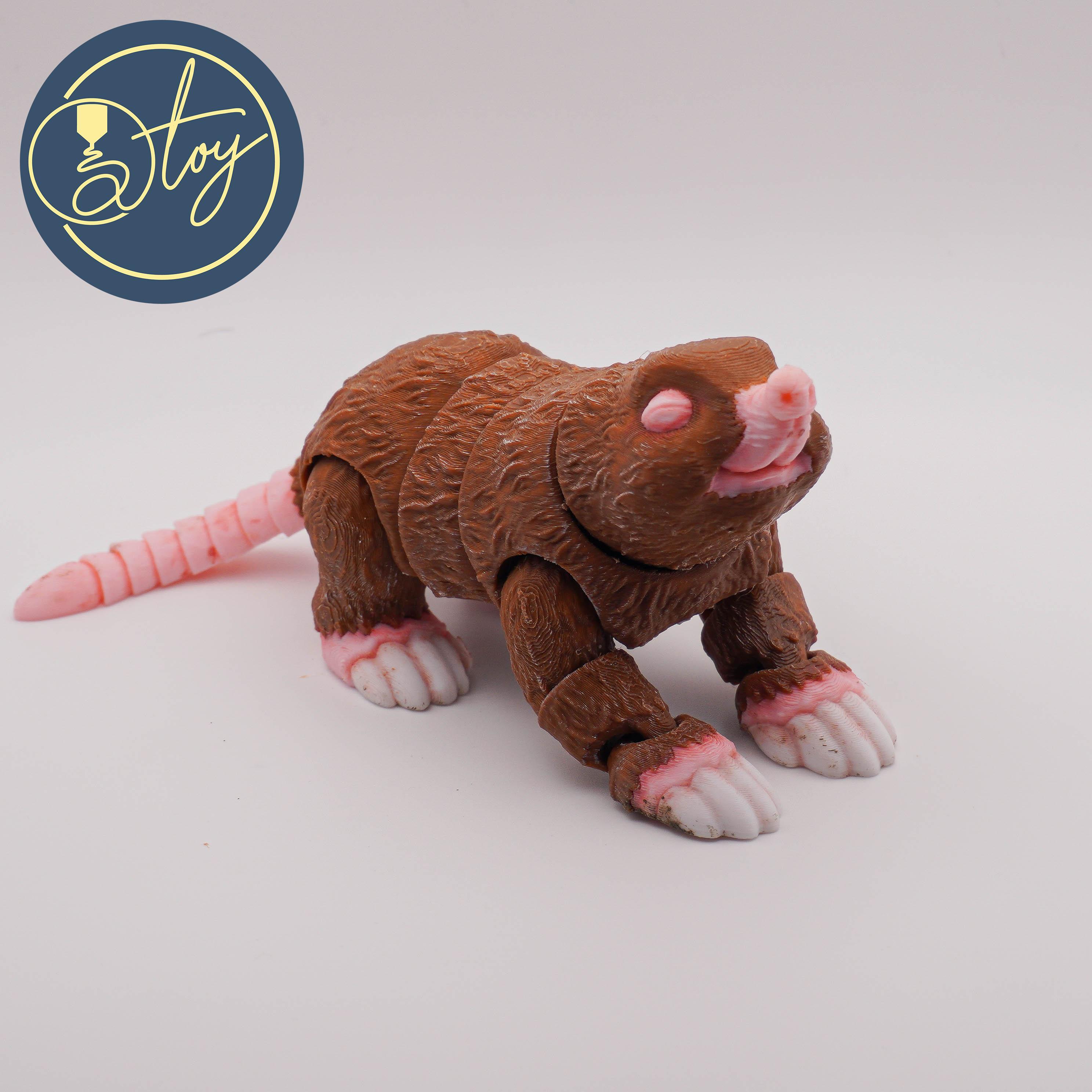 Diggy The Mole 3d model