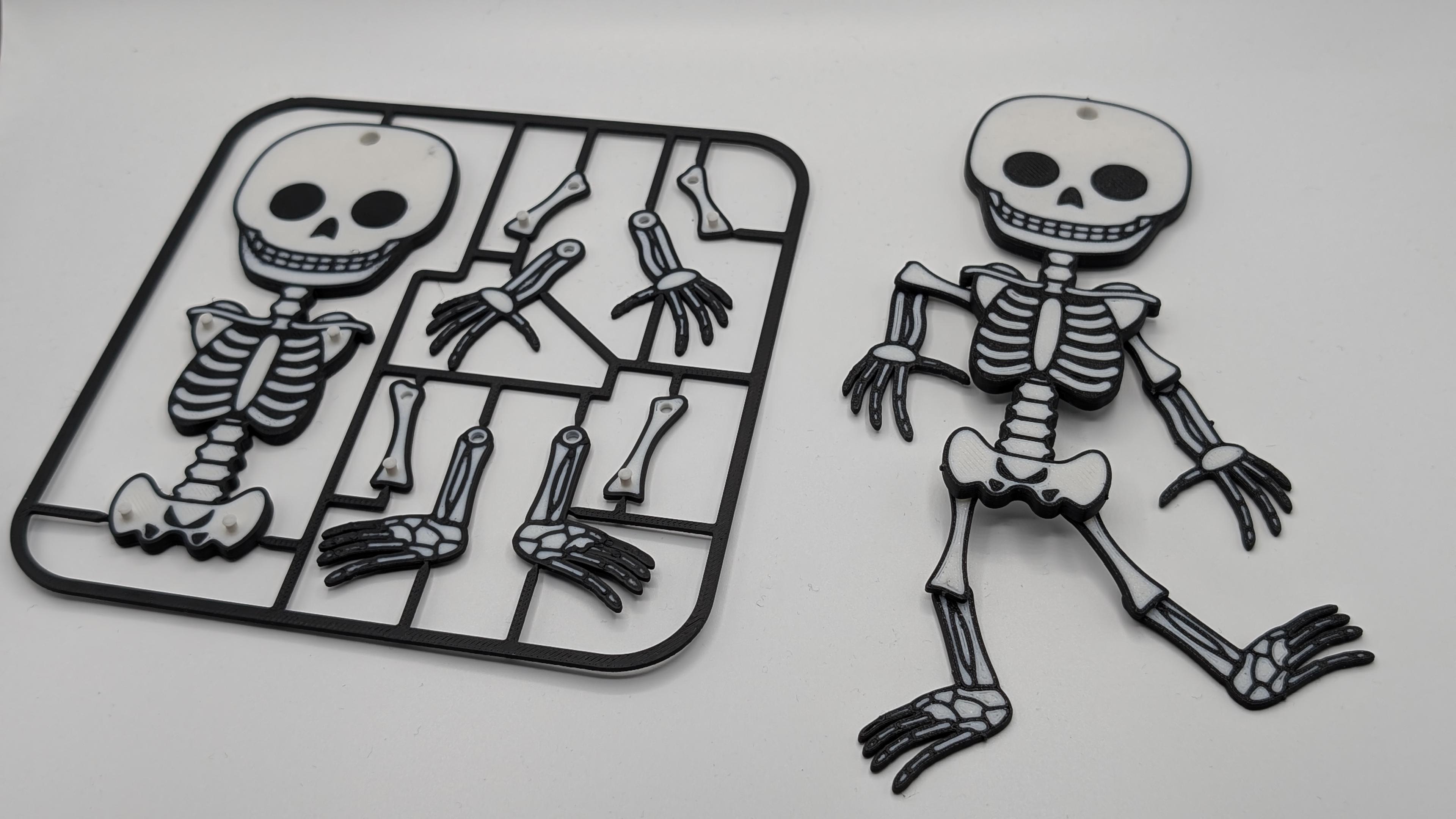 Articulated Skeleton Cardboard 3d model