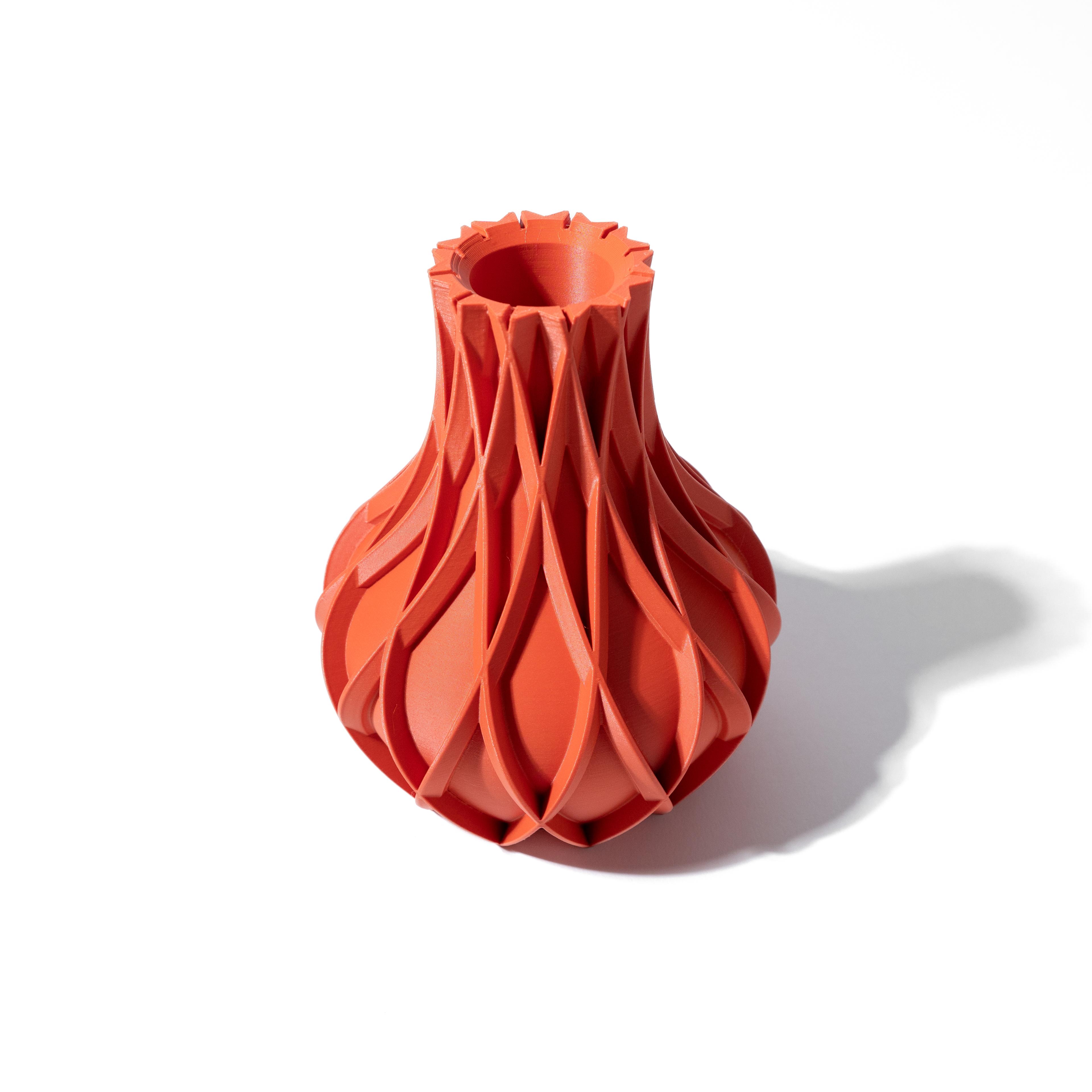 The Avio Vase, Modern and Unique Home Decor for Dried and Preserved Flower Arrangement  | STL File 3d model