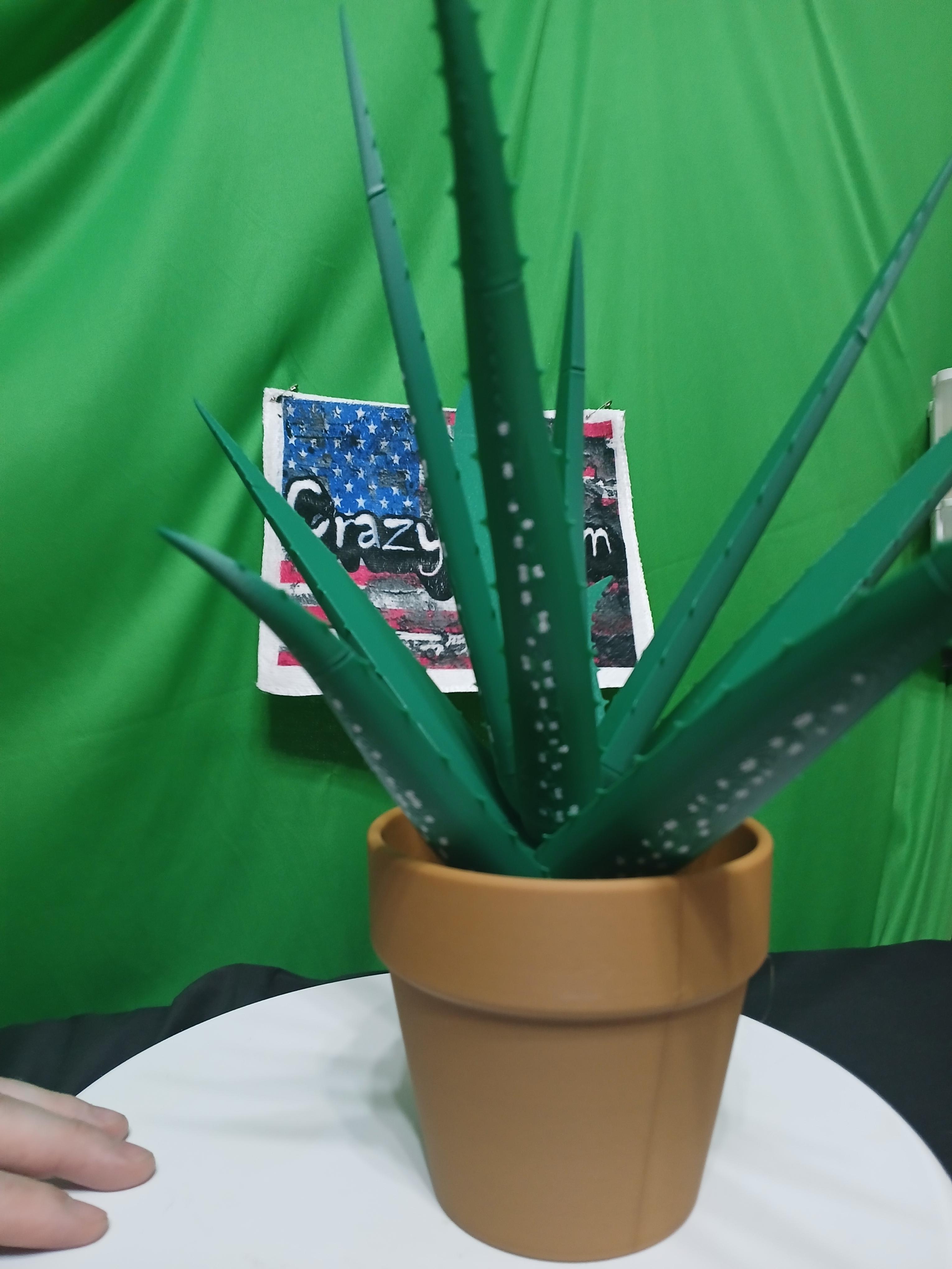 Aloe Vera Pen Plant 3d model