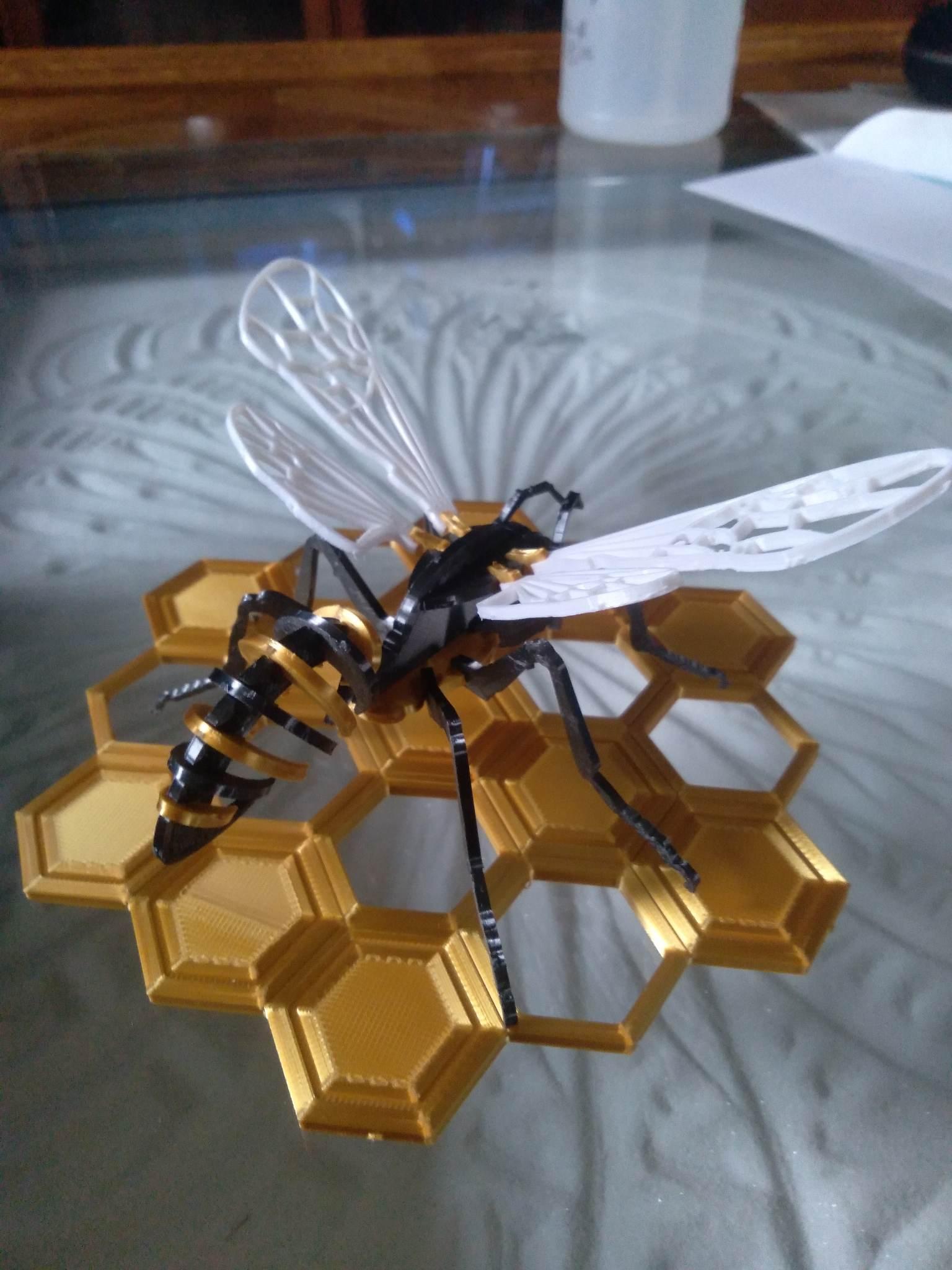 wasp - bee on honeycomb 3d model