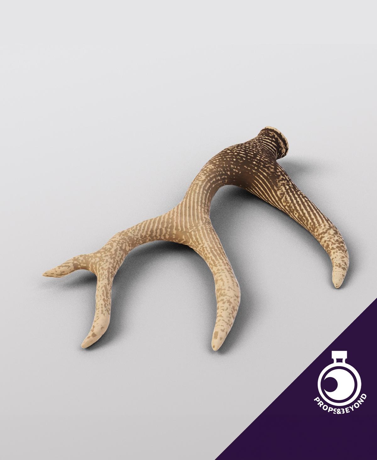 Stag Horn - Monster Trophy 3d model