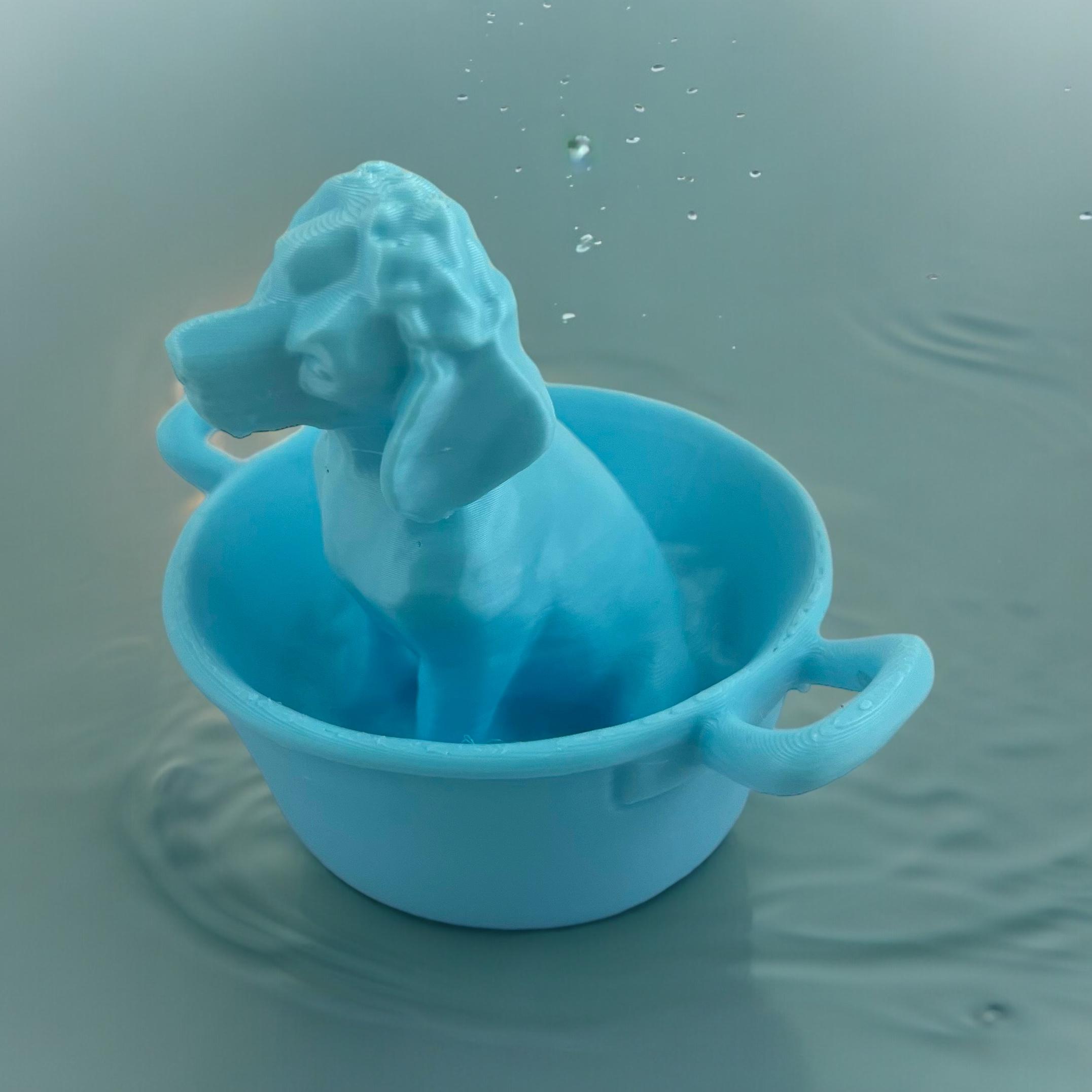 Dog takes a bath 3d model