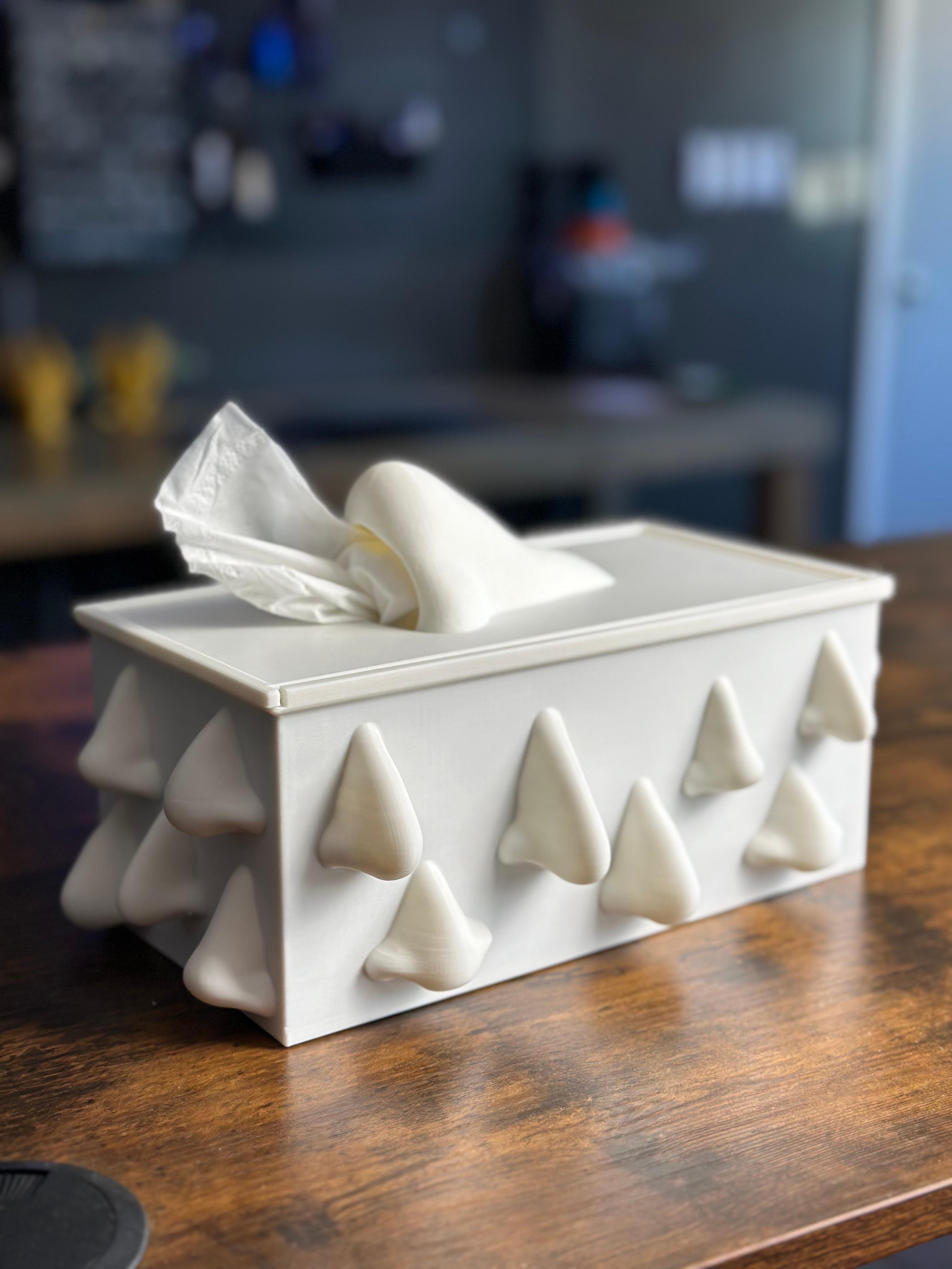 Nosey Tissue Box Holder 3d model