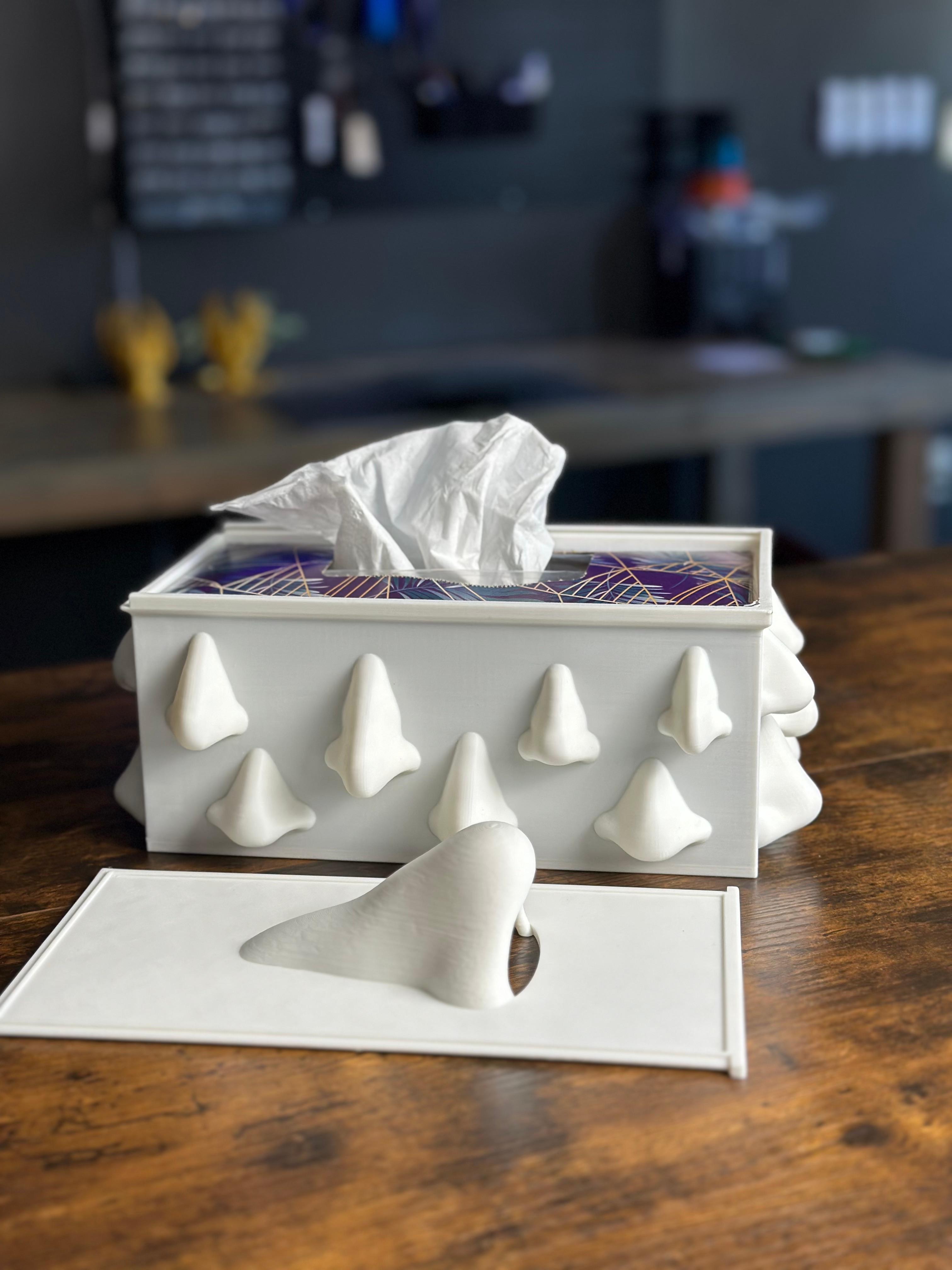 Nosey Tissue Box Holder 3d model