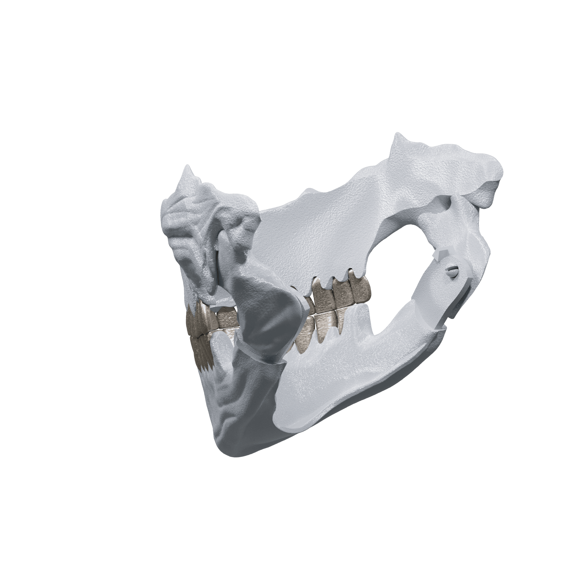 Hollow Mask 2.stl 3d model