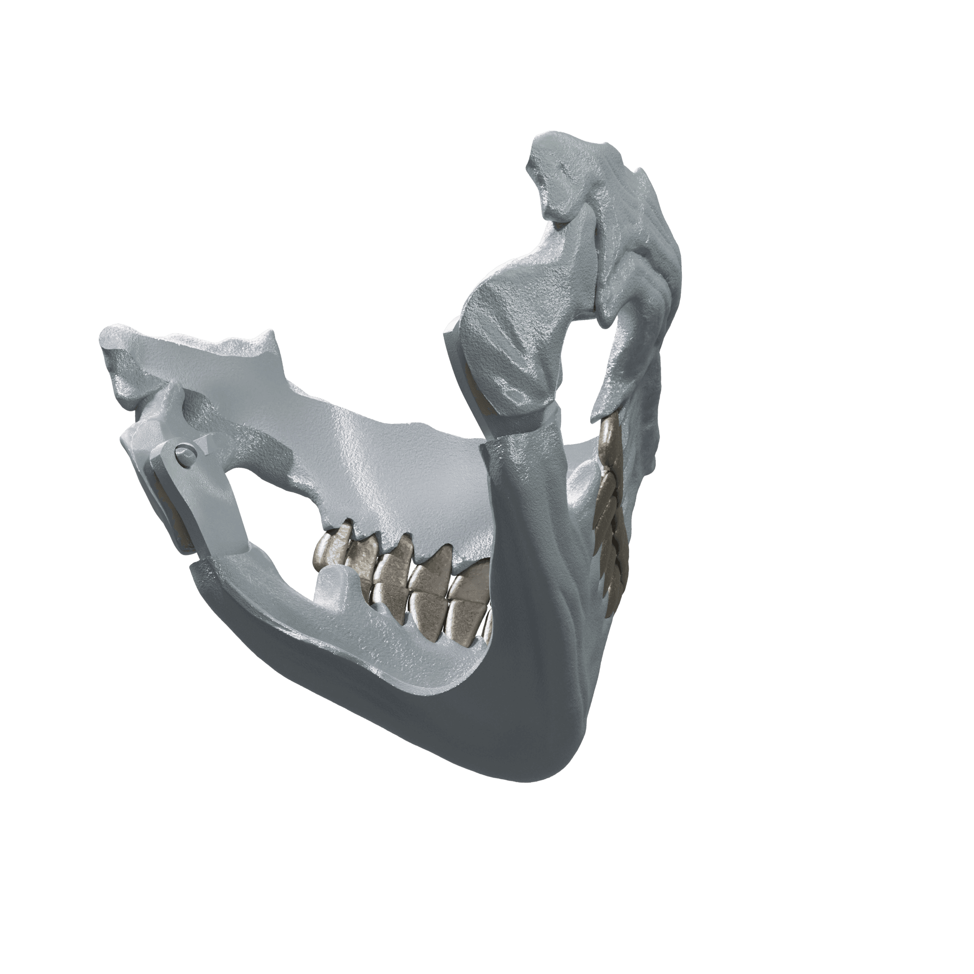 Hollow Mask 2.stl 3d model