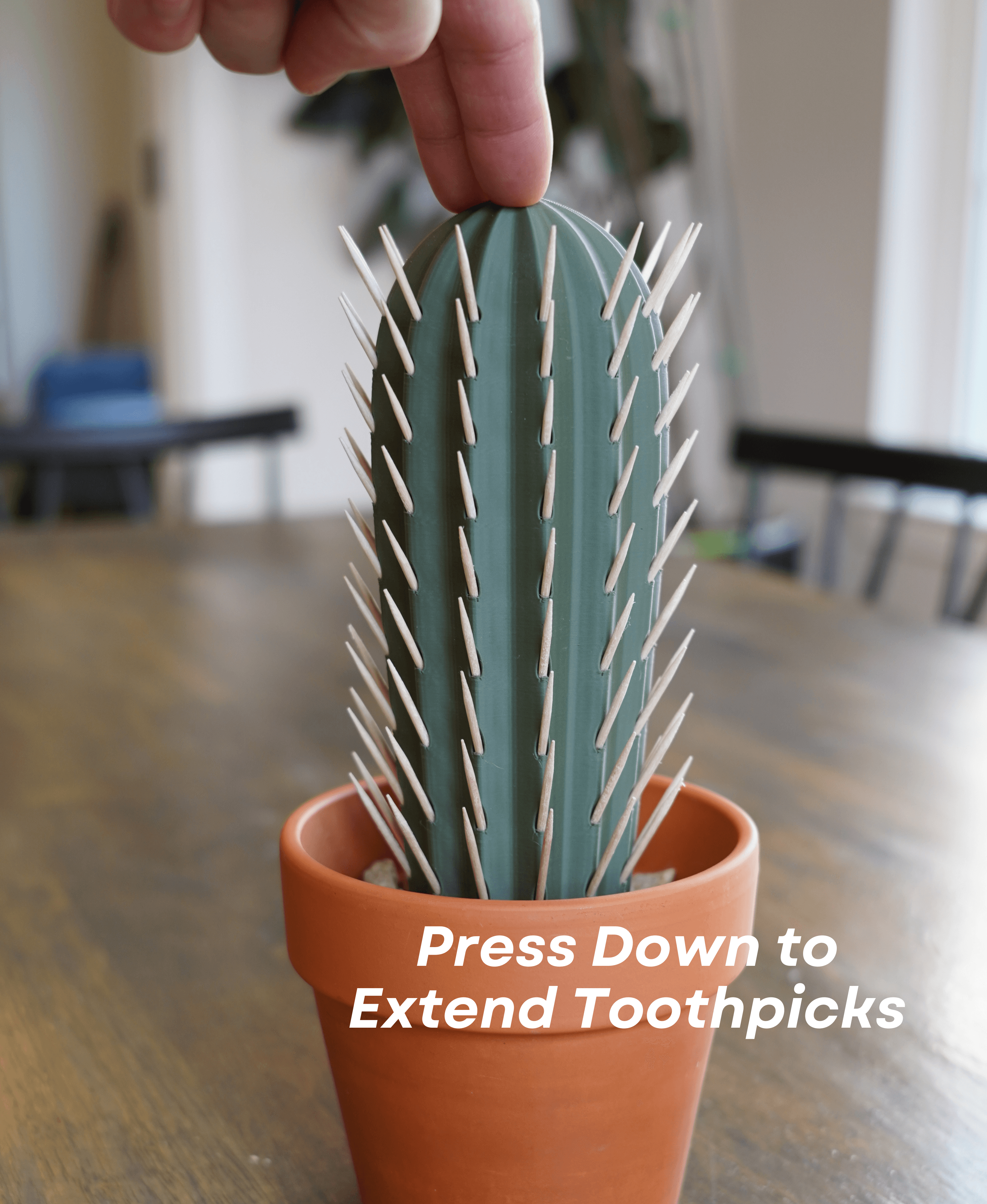 Cactus Toothpick holder 3d model