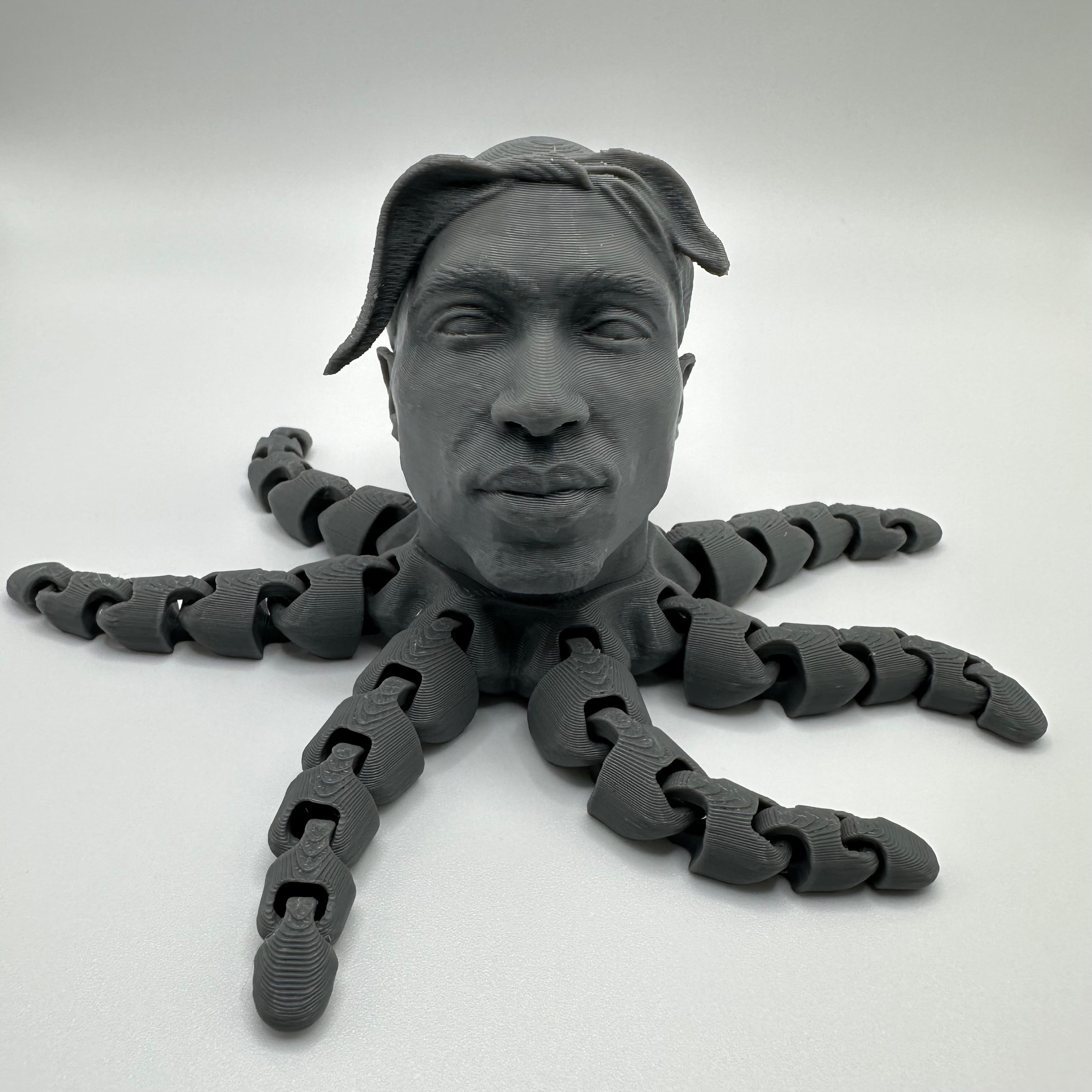 2pactopus - Articulating 3d model