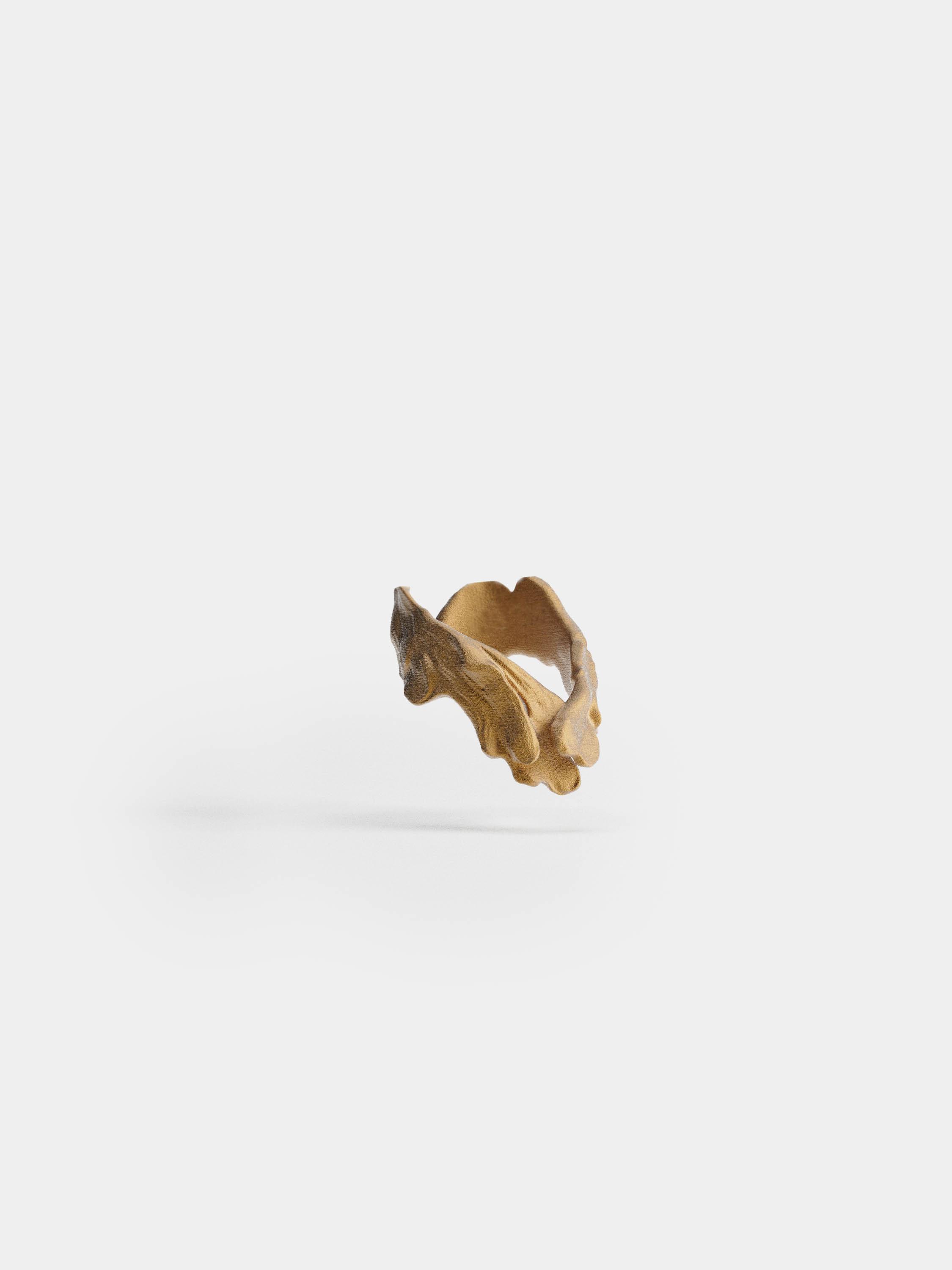 Caesar Ring 3d model