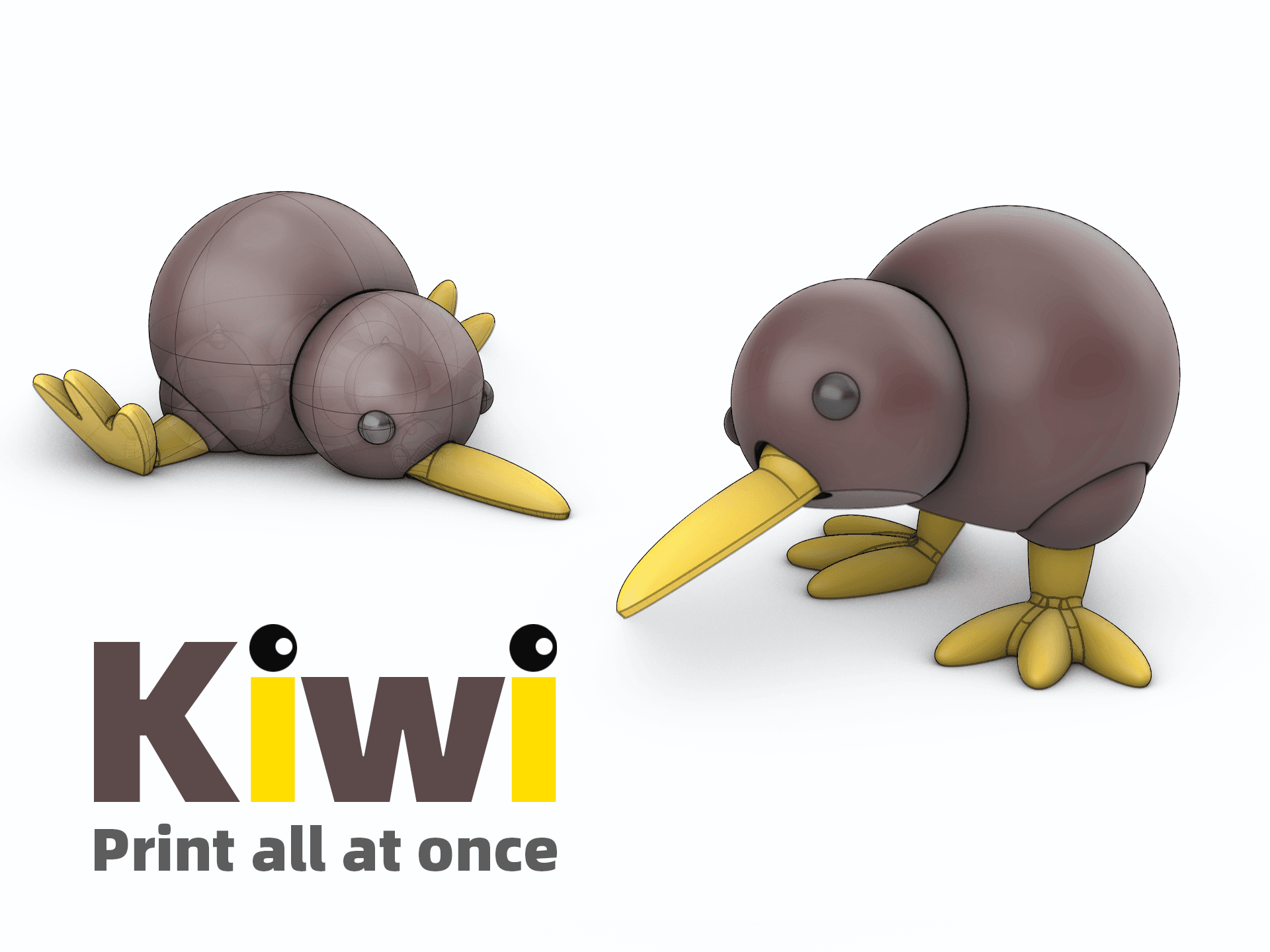 Kiwi 3d model