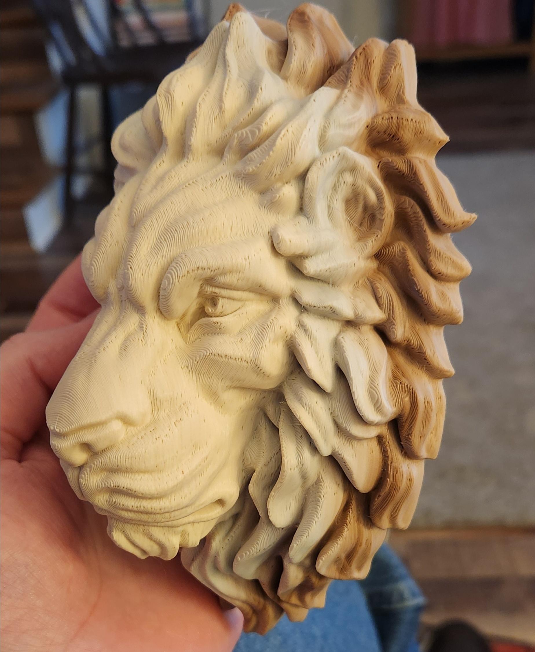 Lion - Wall Decoration 3d model