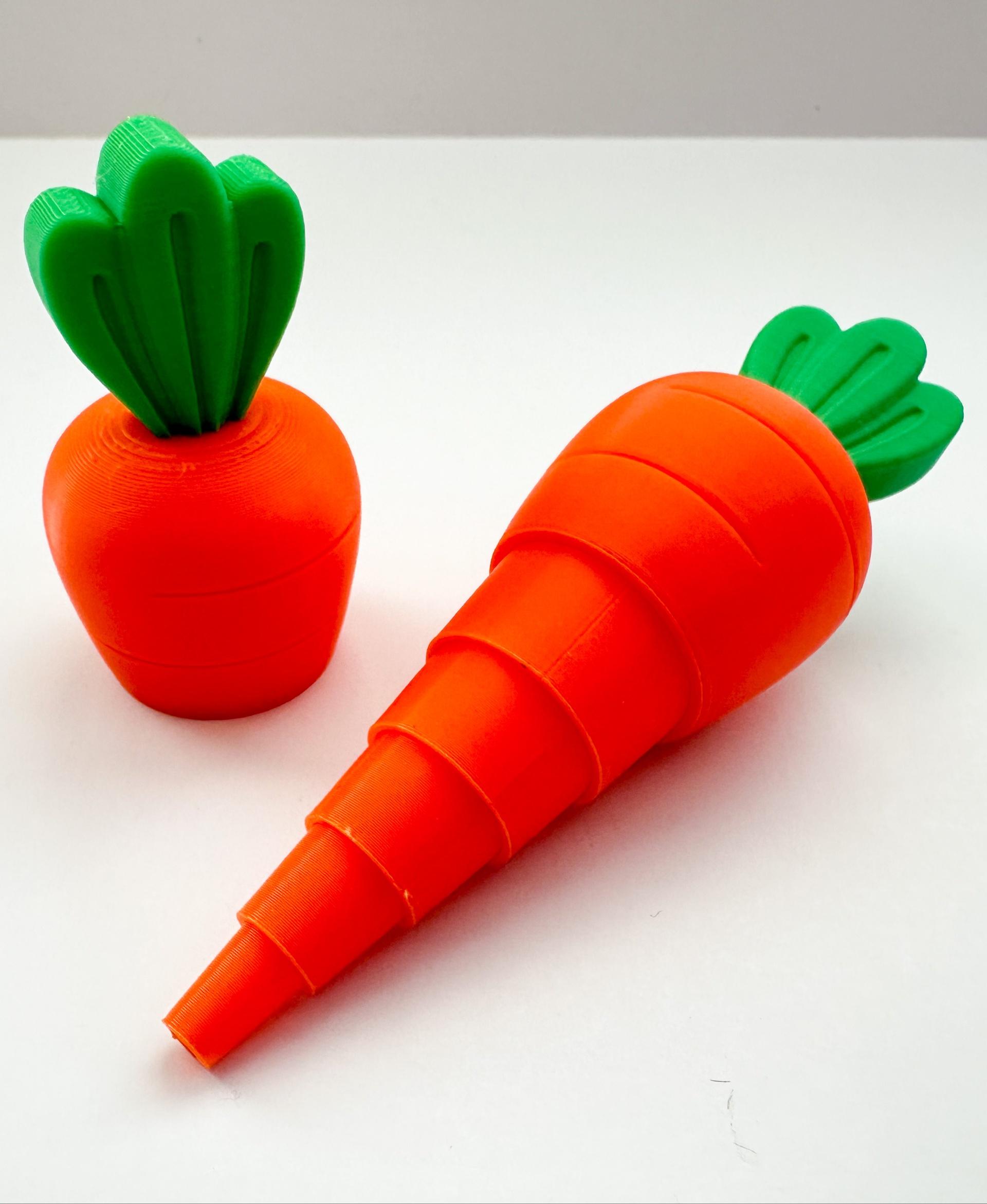 Carrot Garden 3d model