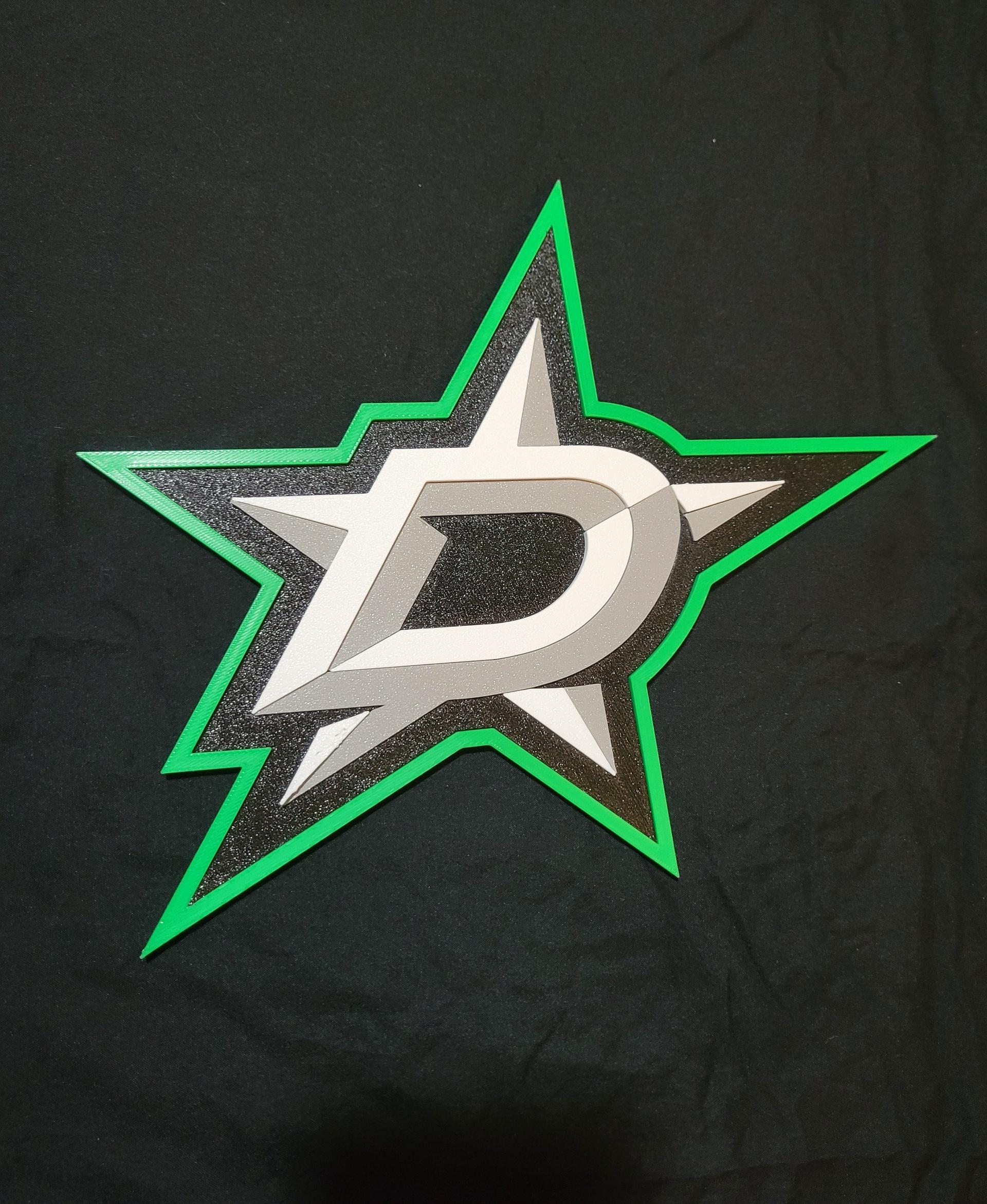 Dallas Stars 3d model