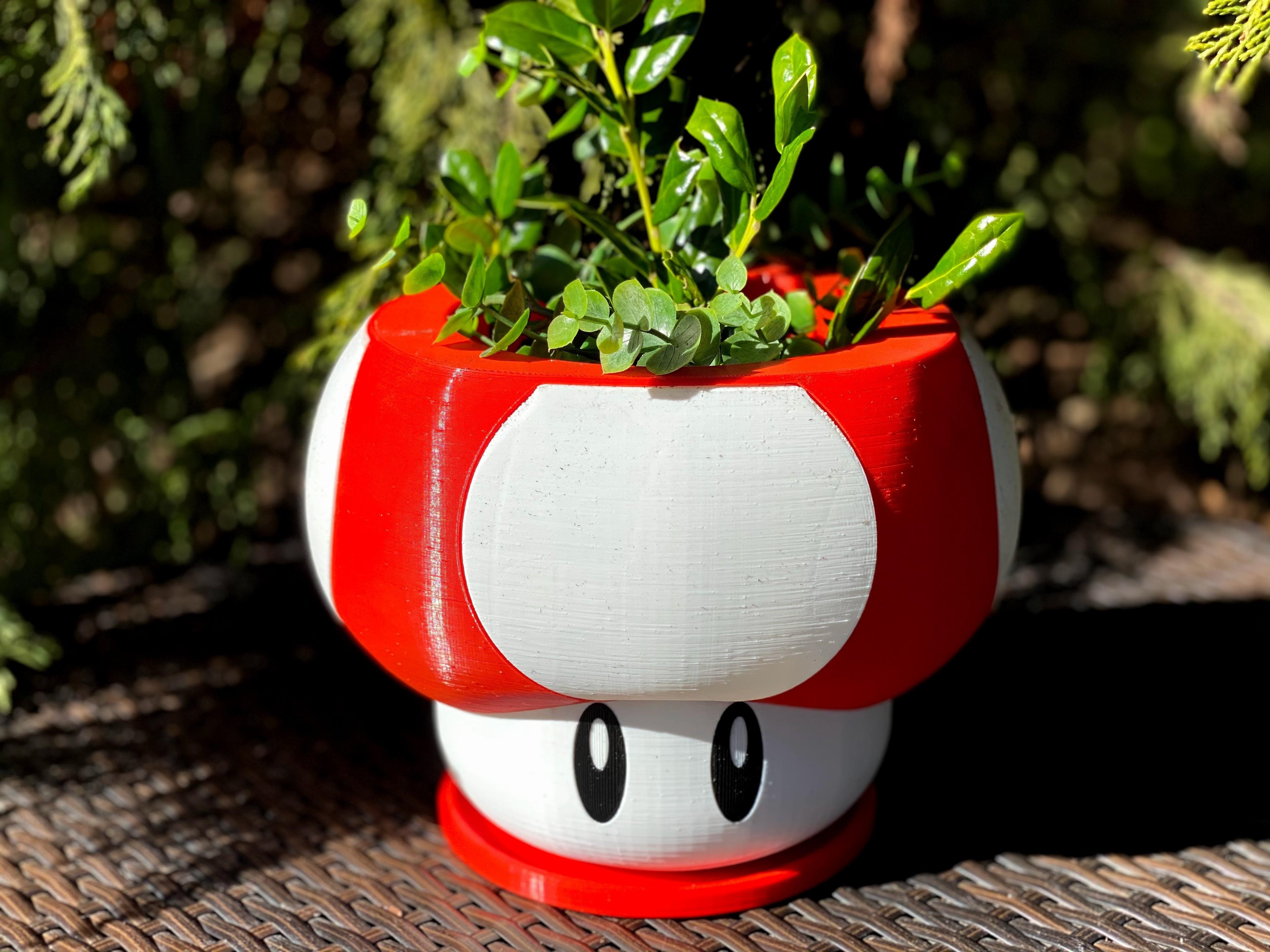 Mario Themed Mushroom Planter  3d model