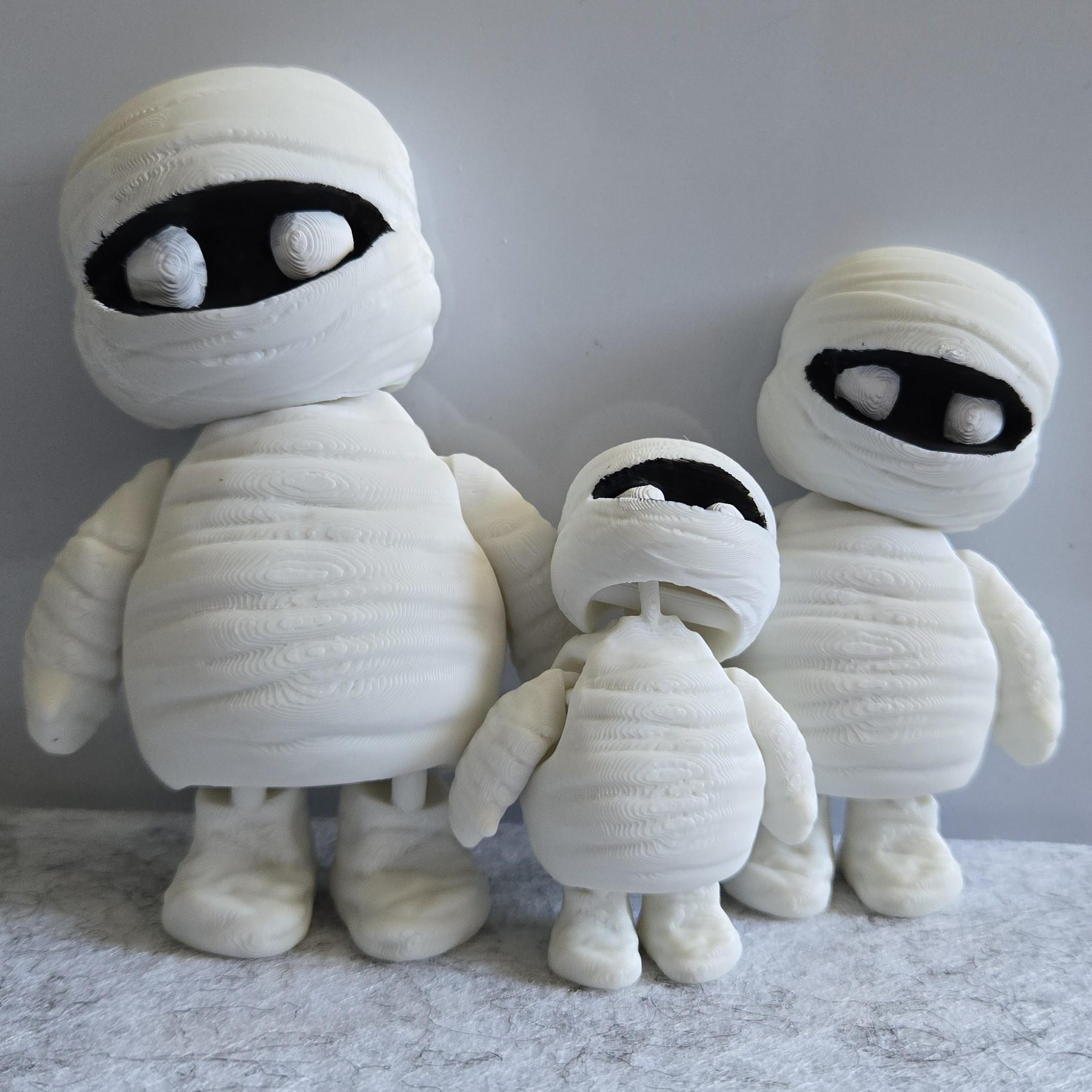 Marty Mummy Flexi  3d model