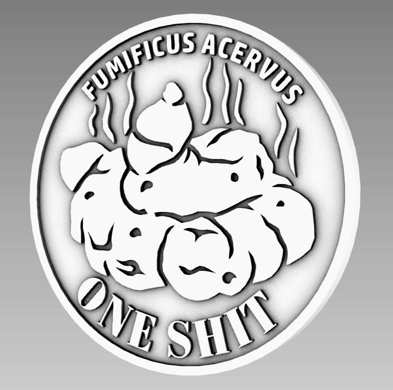 One Sh*t Coin 3d model