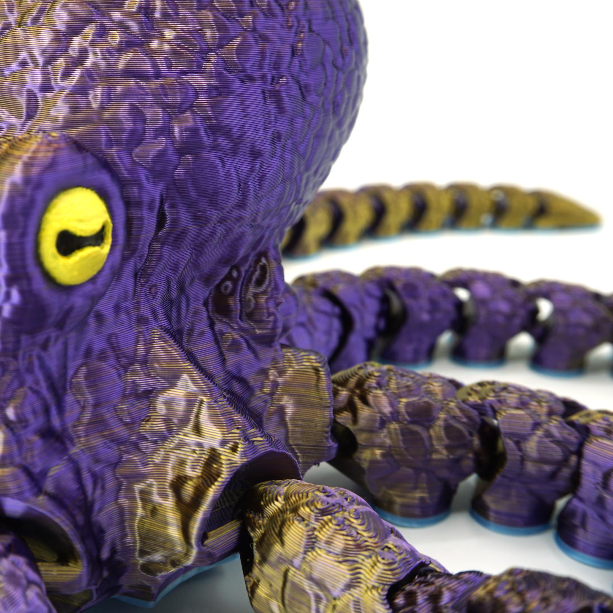 Octopus 2.0 3d model