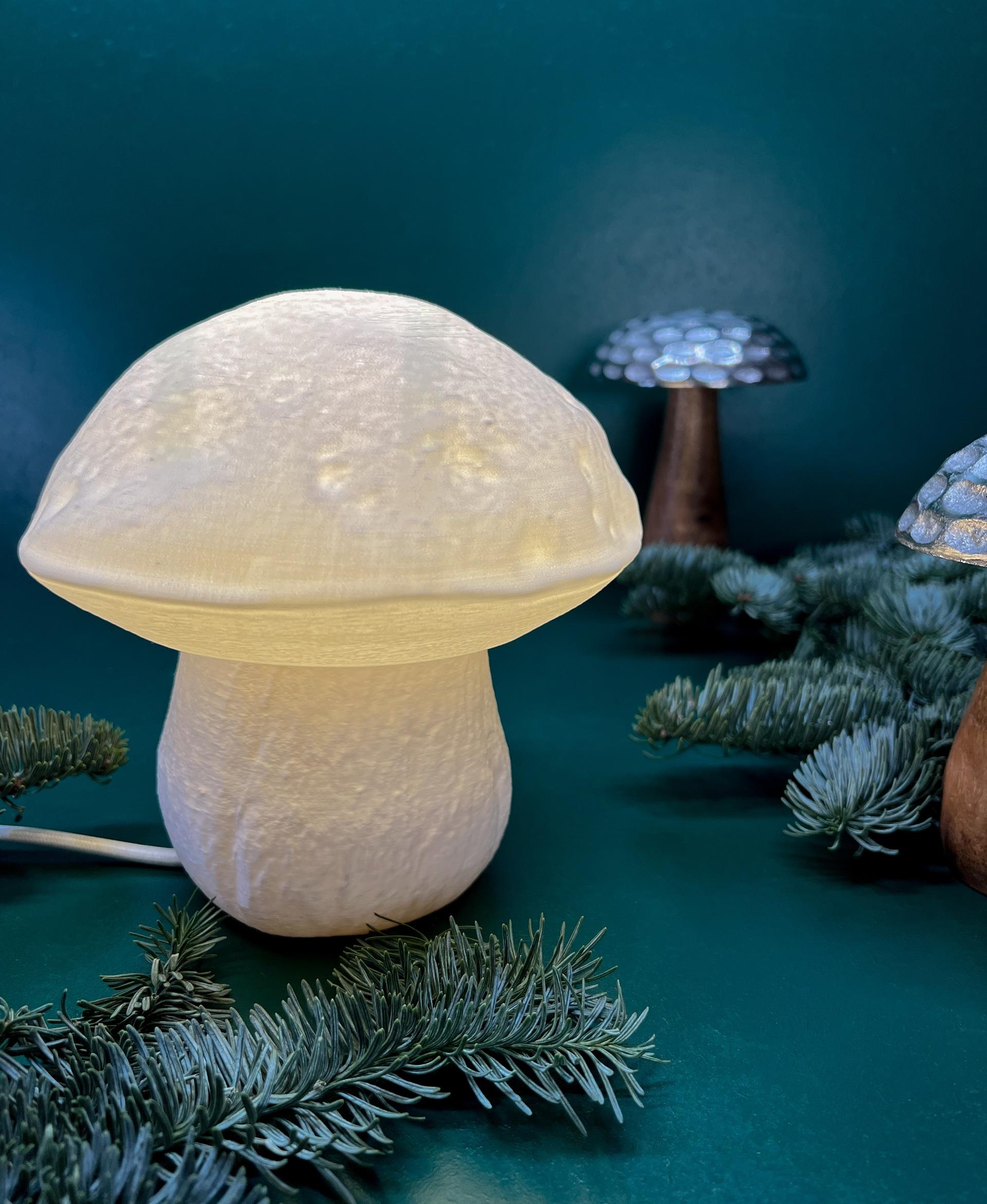 Table lamp “Edulis Fungus” organic 3d model