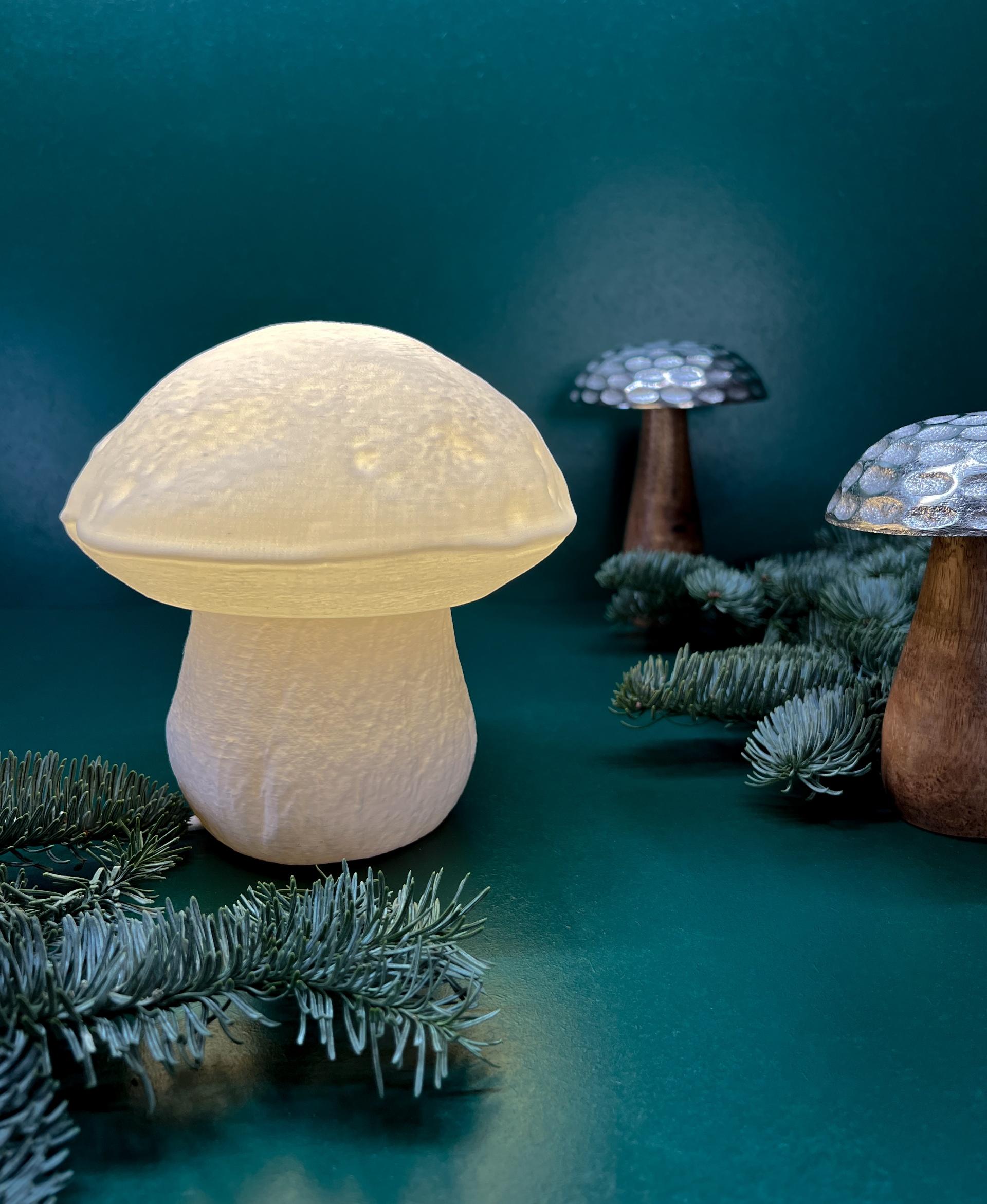 Mushroom lamp “Boletus Edulis” - This Mushroom Table lamp gives us some cozzy vibes and makes  our room to a wonderful and relaxing space - 3d model