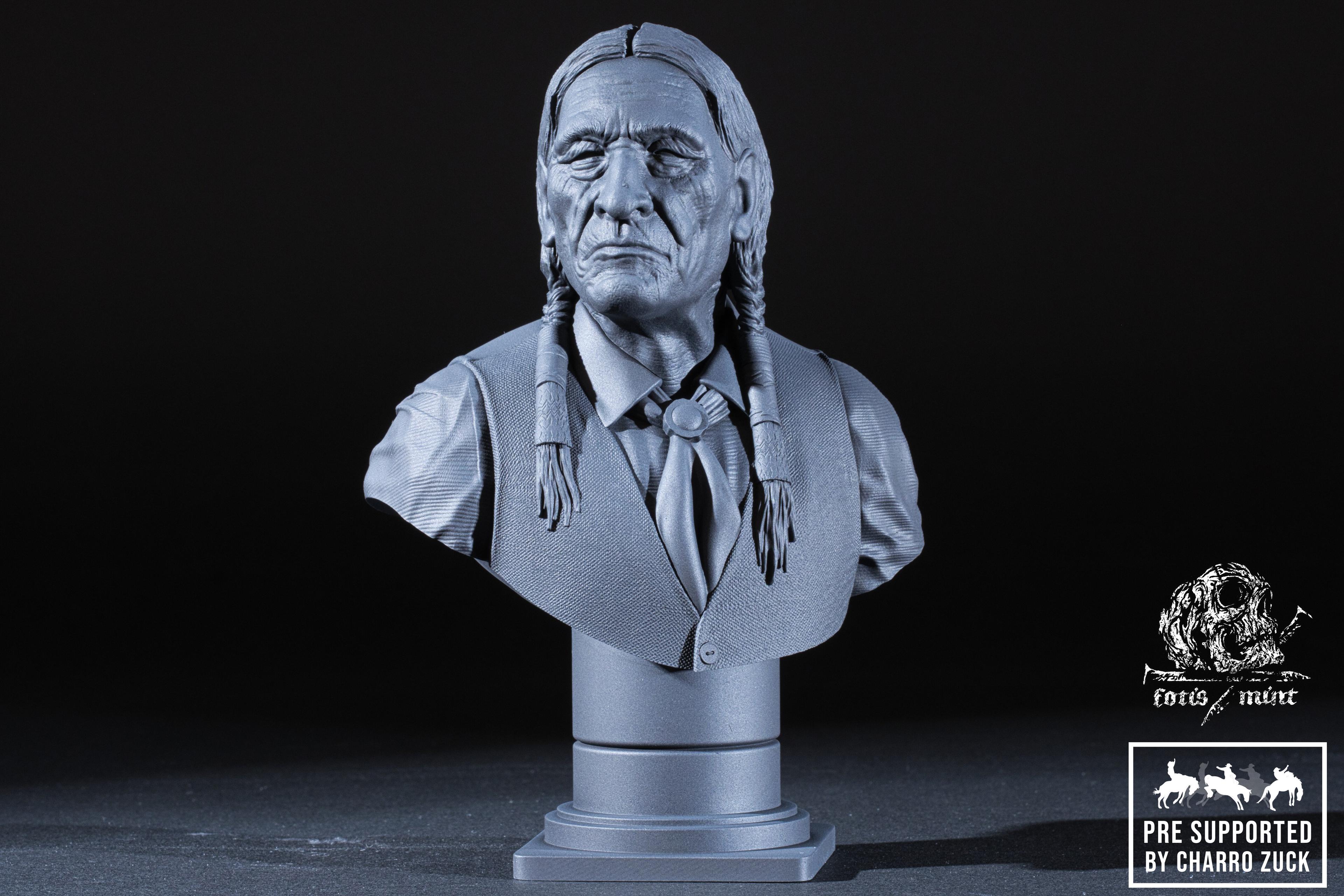 Cheyenne Elder (Pre Supported) 3d model