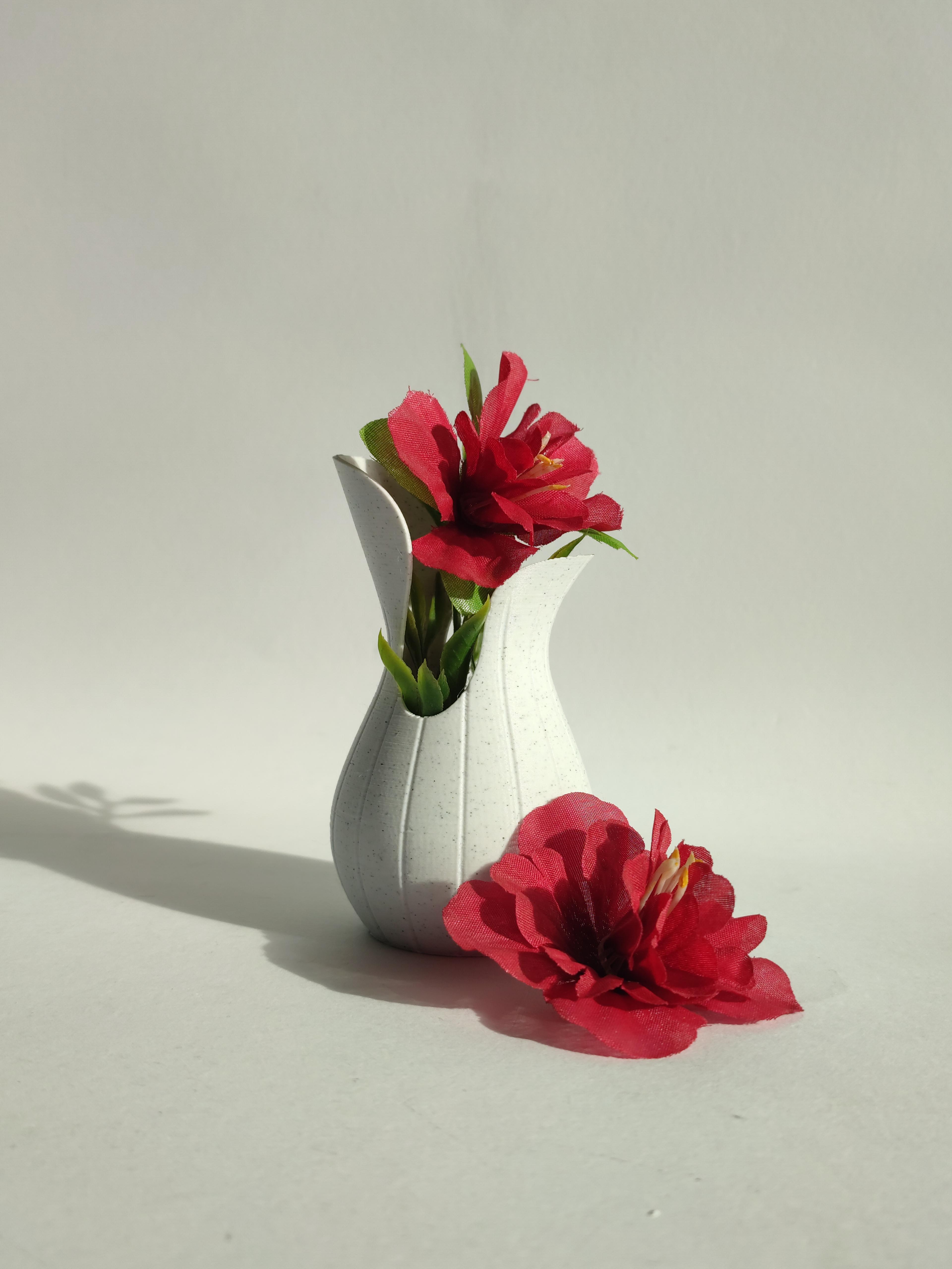 Elegant Vase 3d model